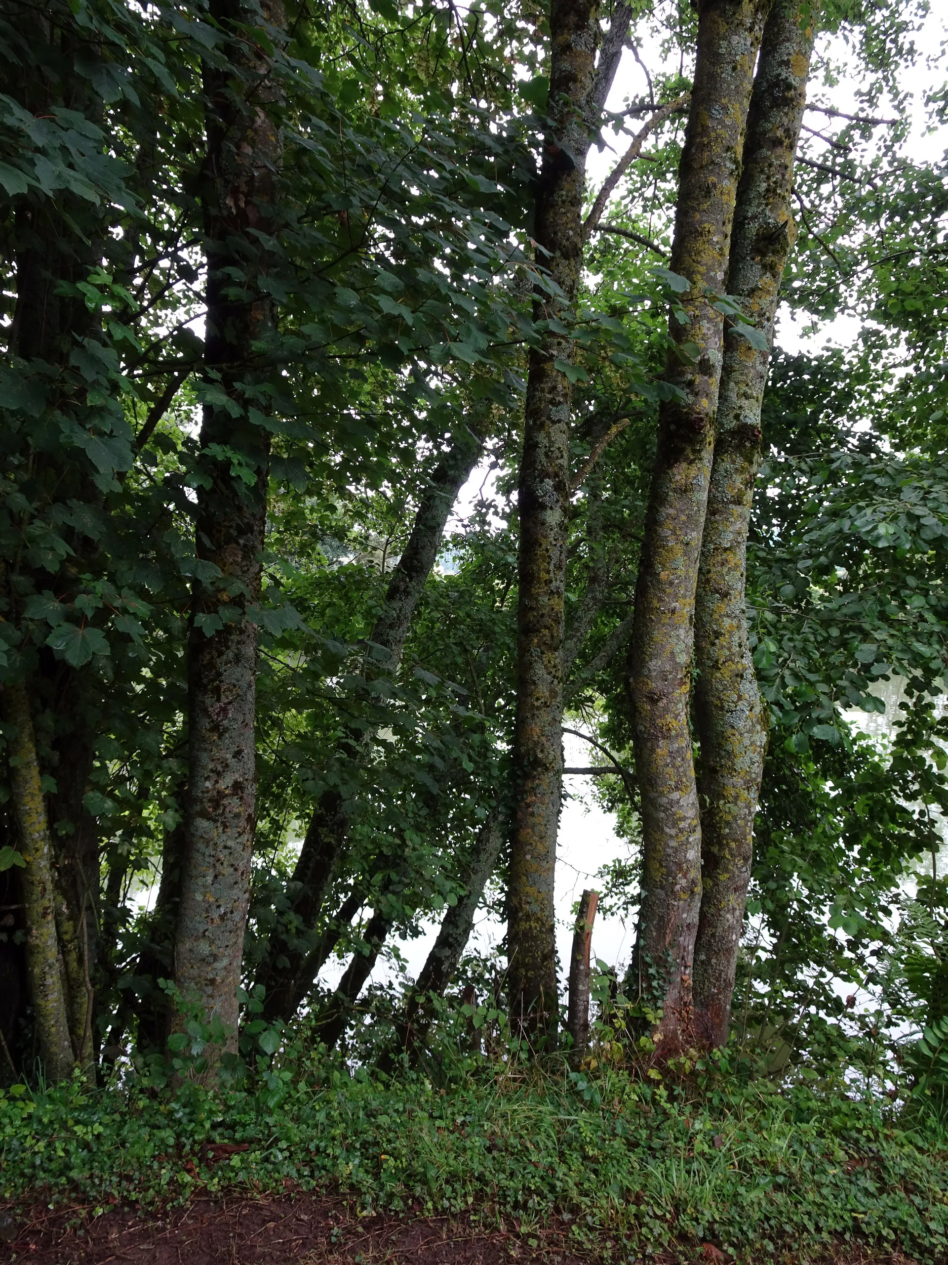 Ballastiere de Plain Perche à Les Ayvelles — À 2,0 km du lac