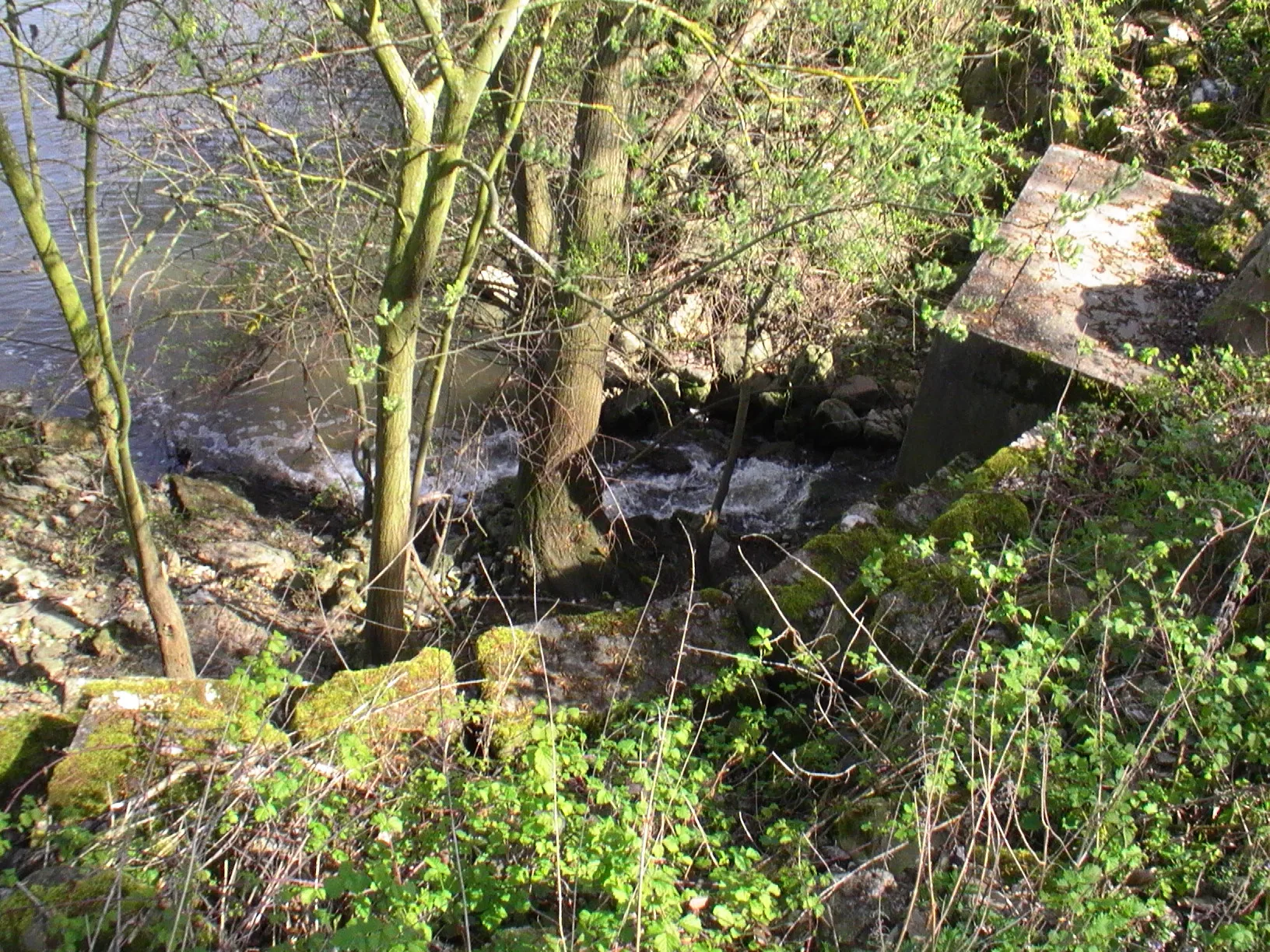 Ballastière de Venables à Bouafles — À 2,0 km du lac