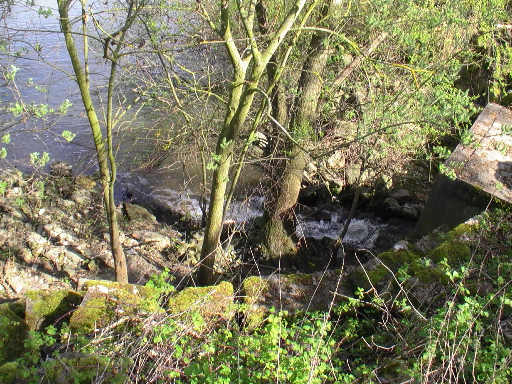 Ballastière de Venables à Bouafles — À 2,0 km du lac