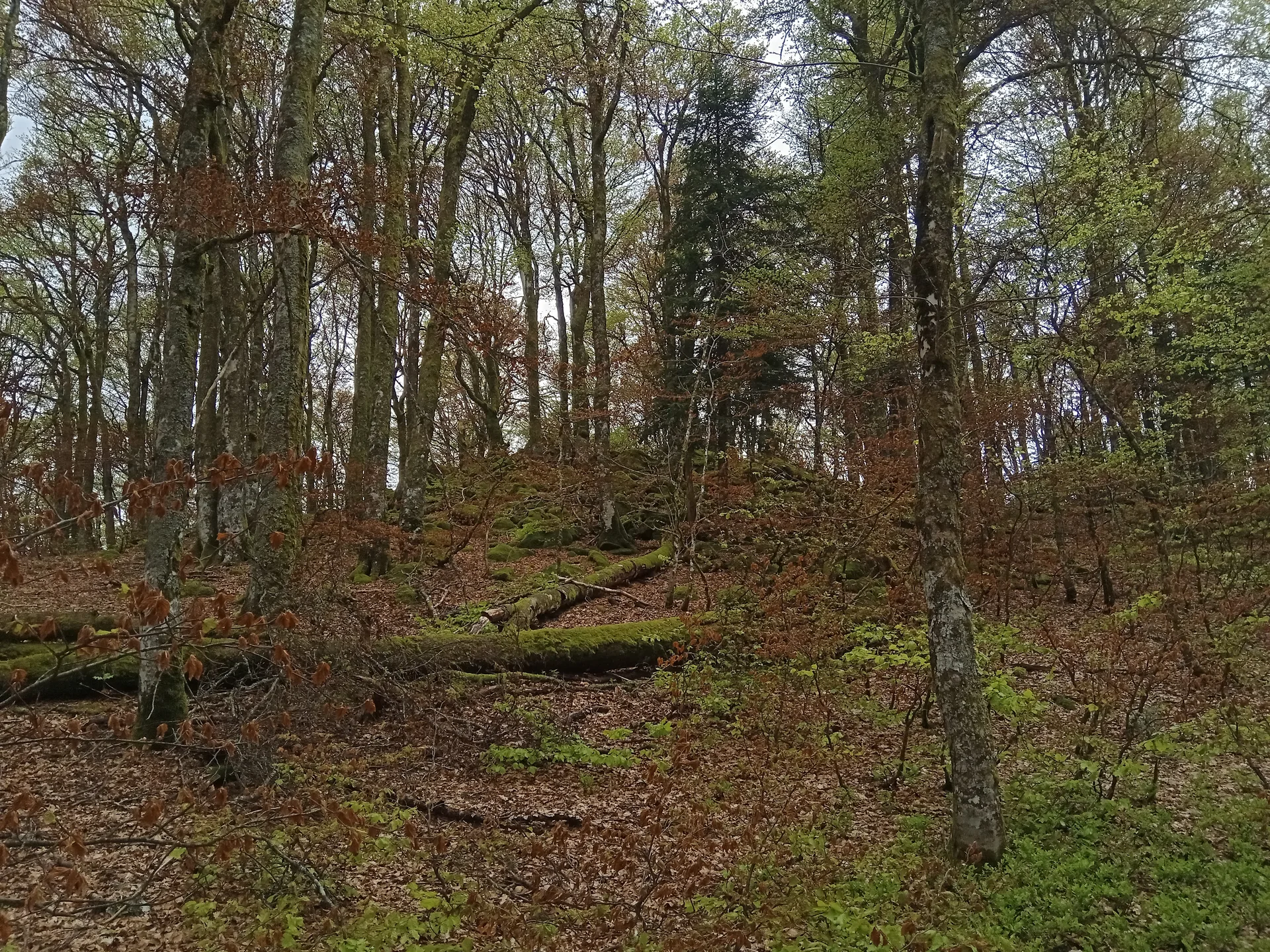 Barrage de Kruth Wildenstein à Kruth — À 2,3 km du lac