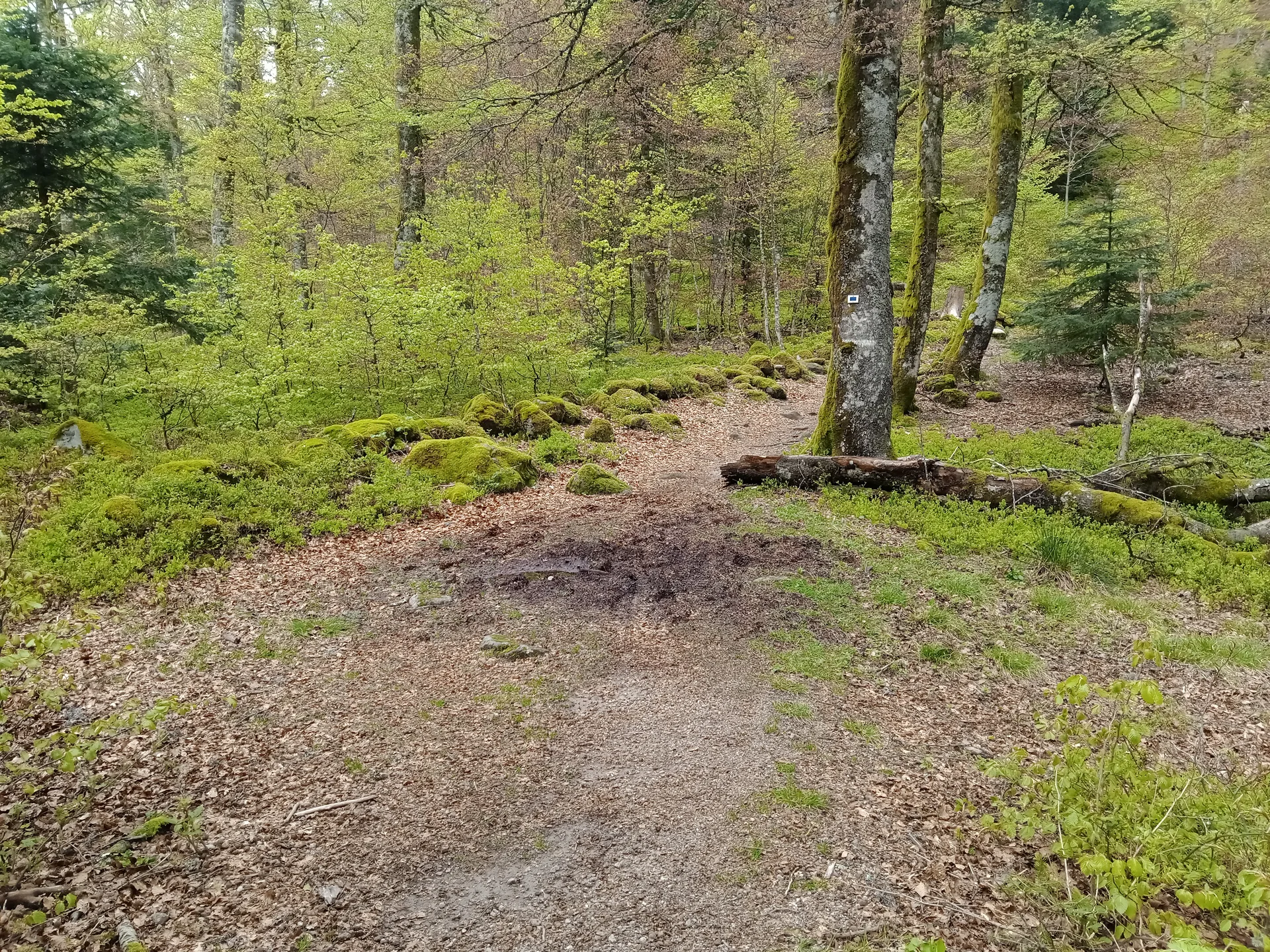 Barrage de Kruth Wildenstein à Kruth — À 2,6 km du lac