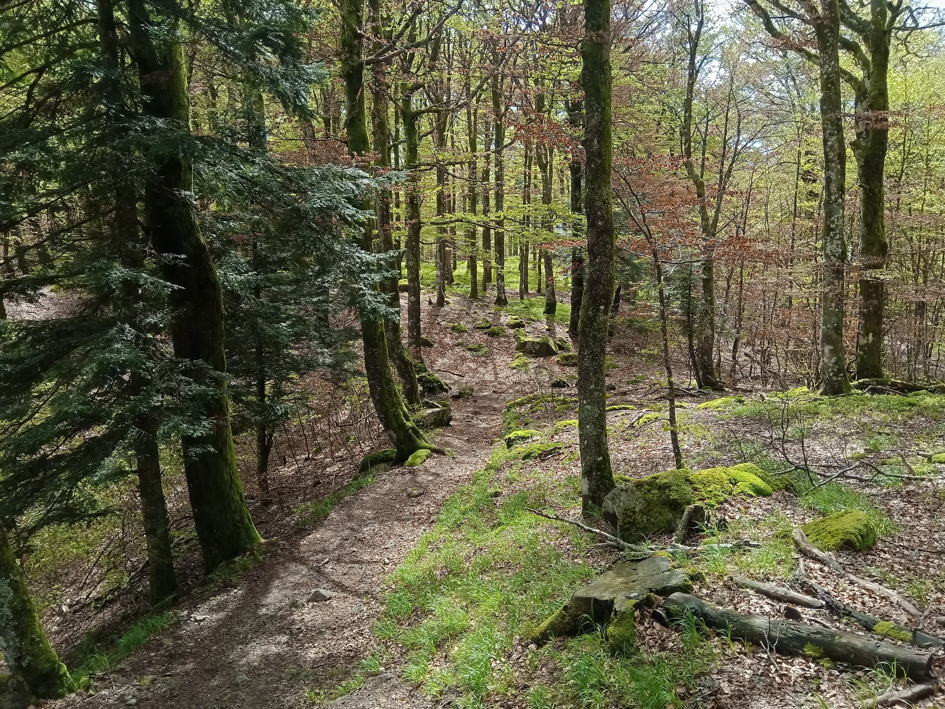 Barrage de Kruth Wildenstein à Kruth — À 2,7 km du lac