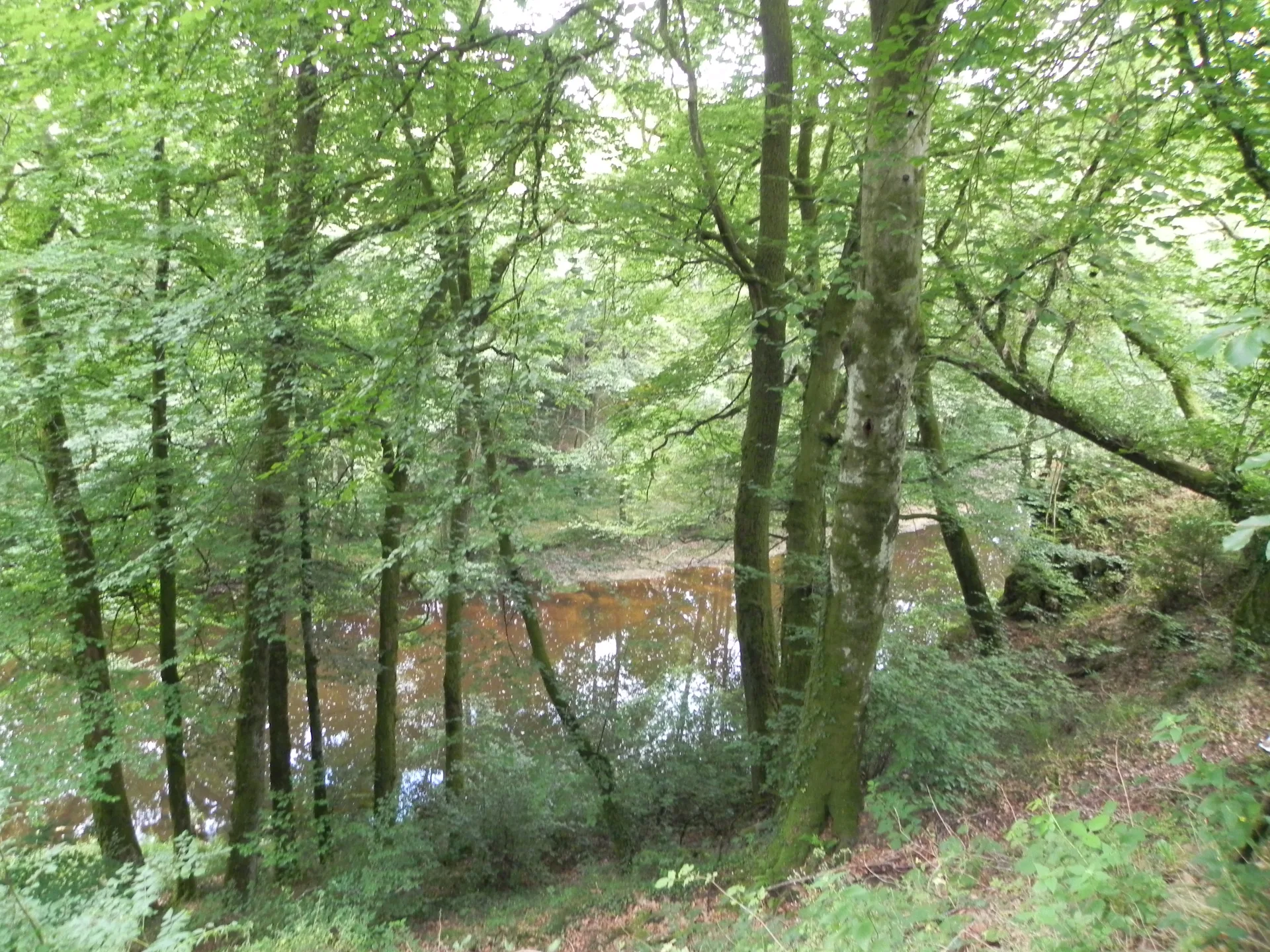 Barrage des Bariousses à Treignac — À 1,7 km du lac