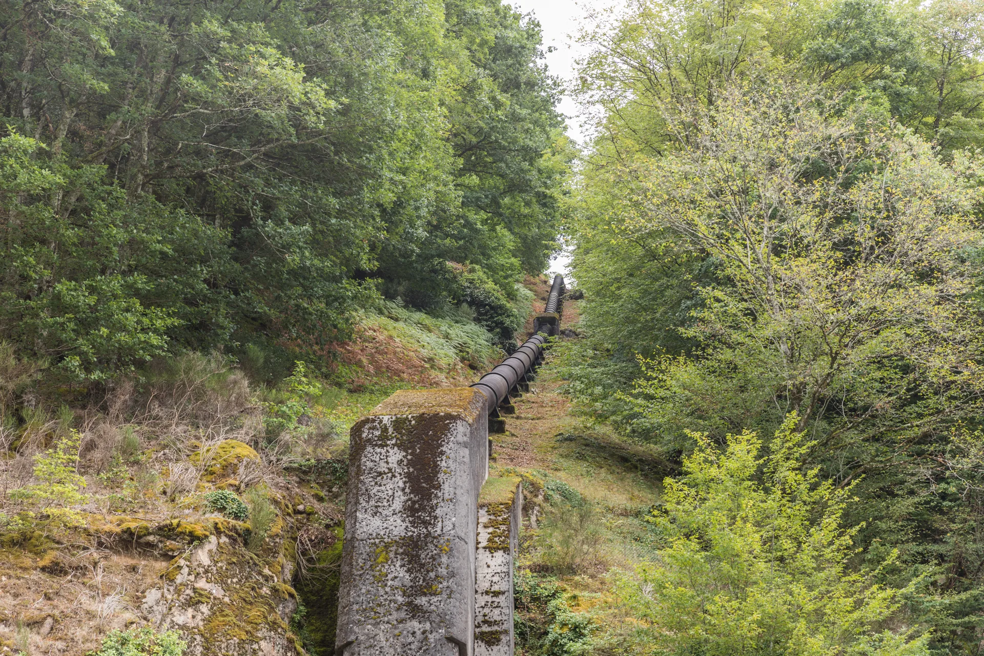 Barrage du Chastang à Saint-Martin-la-Méanne — Sur le lac
