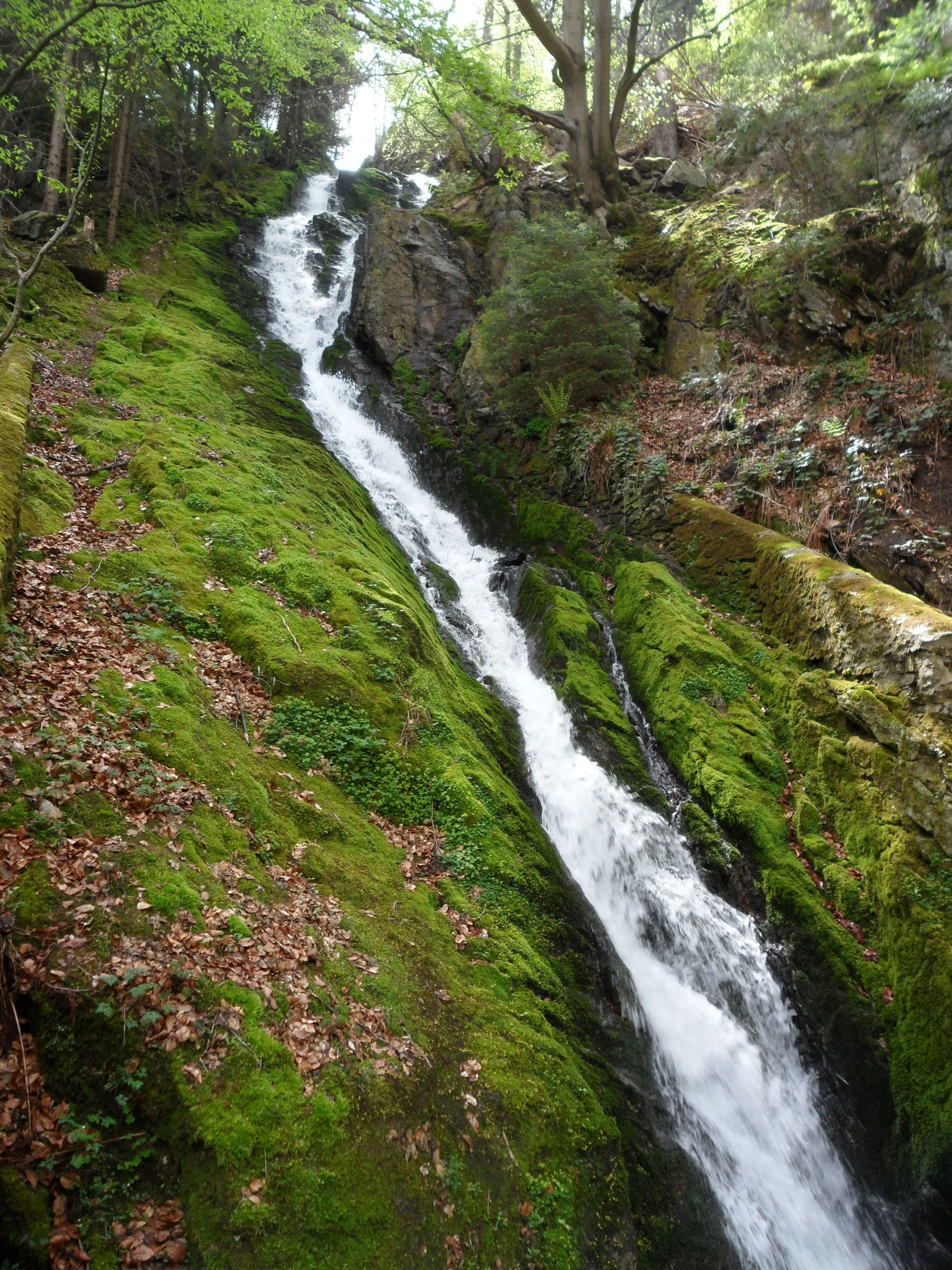 Barrage du Gouffre d'Enfer à Saint-Étienne — Sur le lac