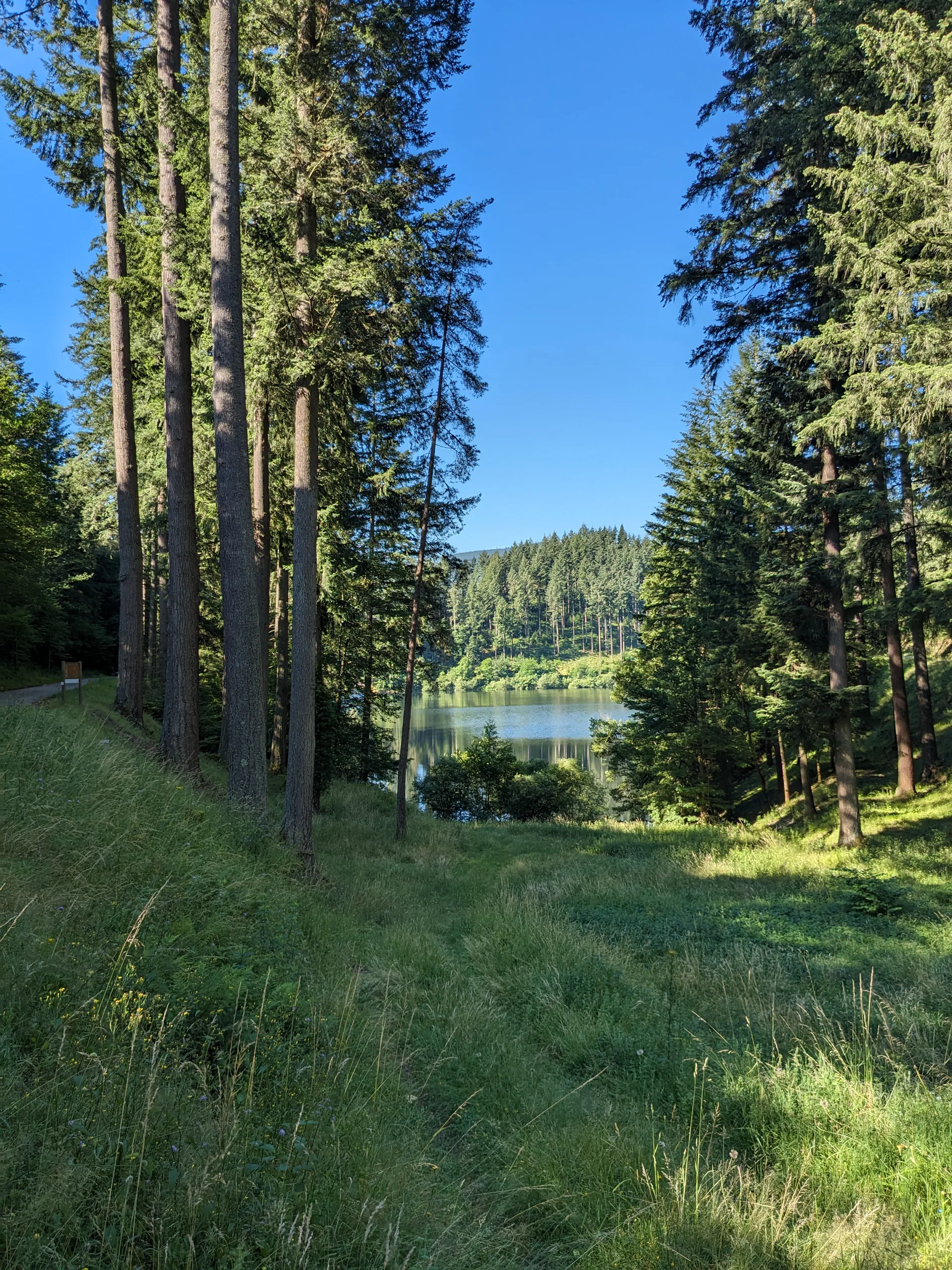 Barrage du Rouchain à Renaison — À 892 m du lac