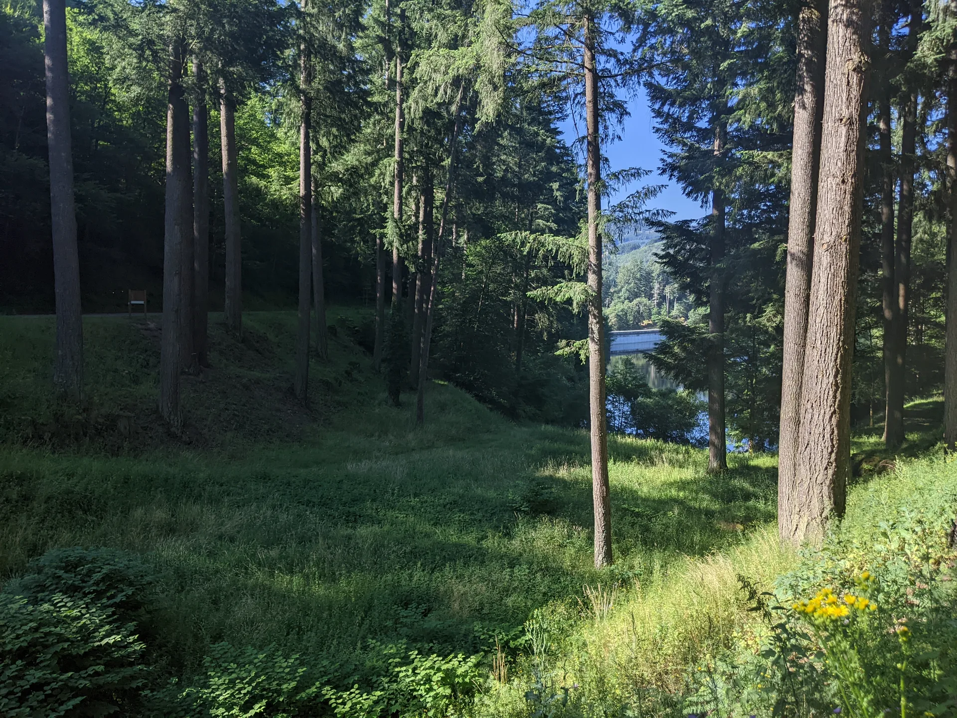 Barrage du Rouchain à Renaison — À 895 m du lac
