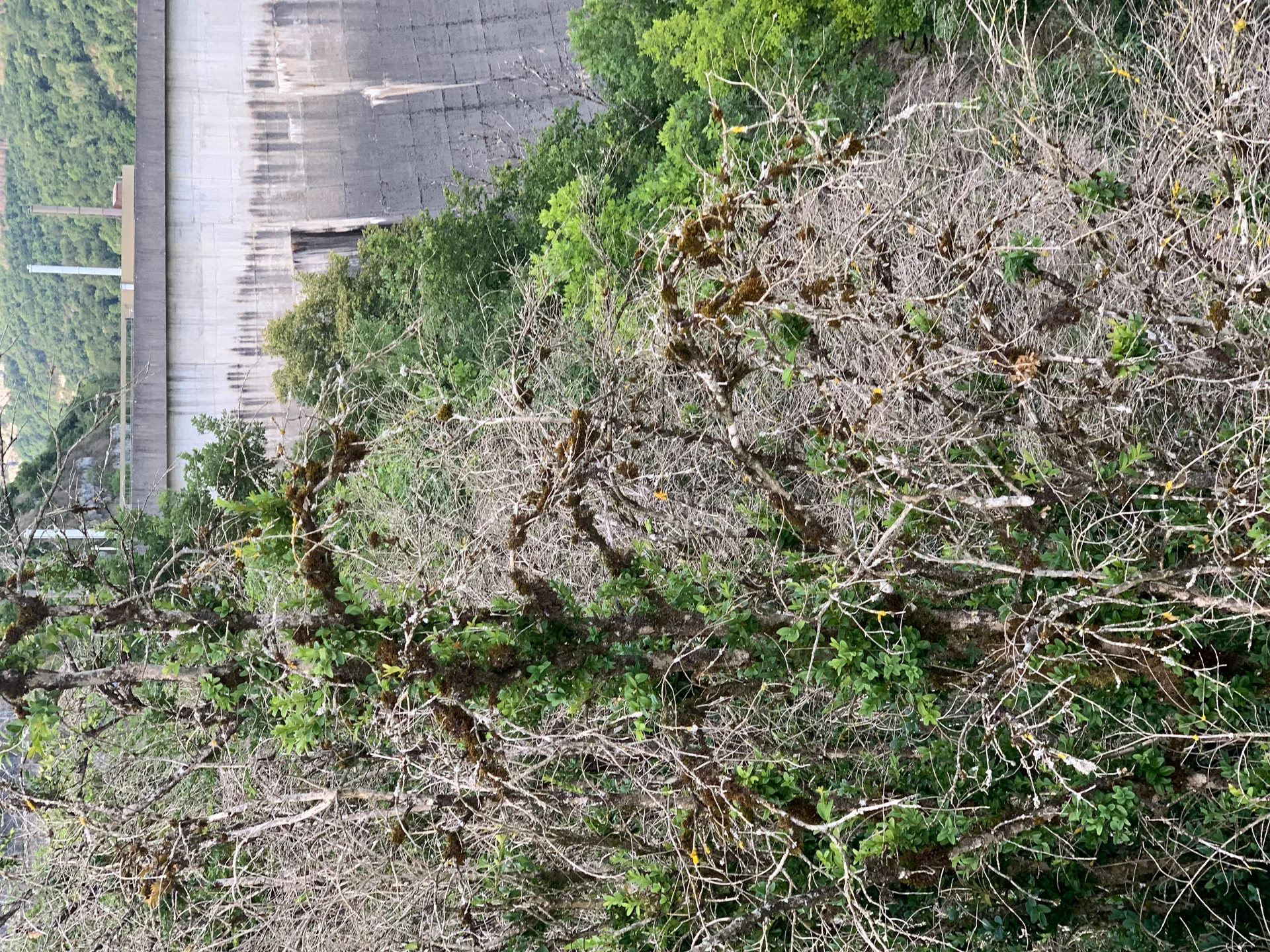 Barrage du Saint Mortier à Cernon — Sur le lac