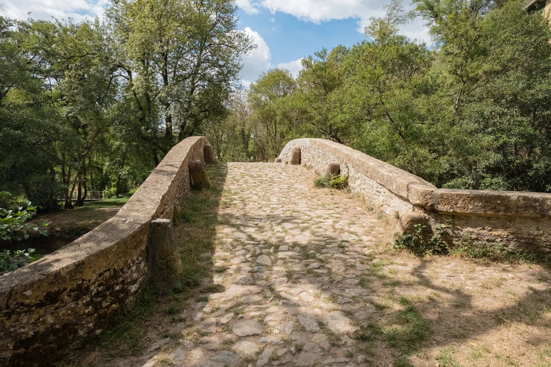 Bassin de Malassis à Domecy-sur-Cure — À 1,6 km du lac