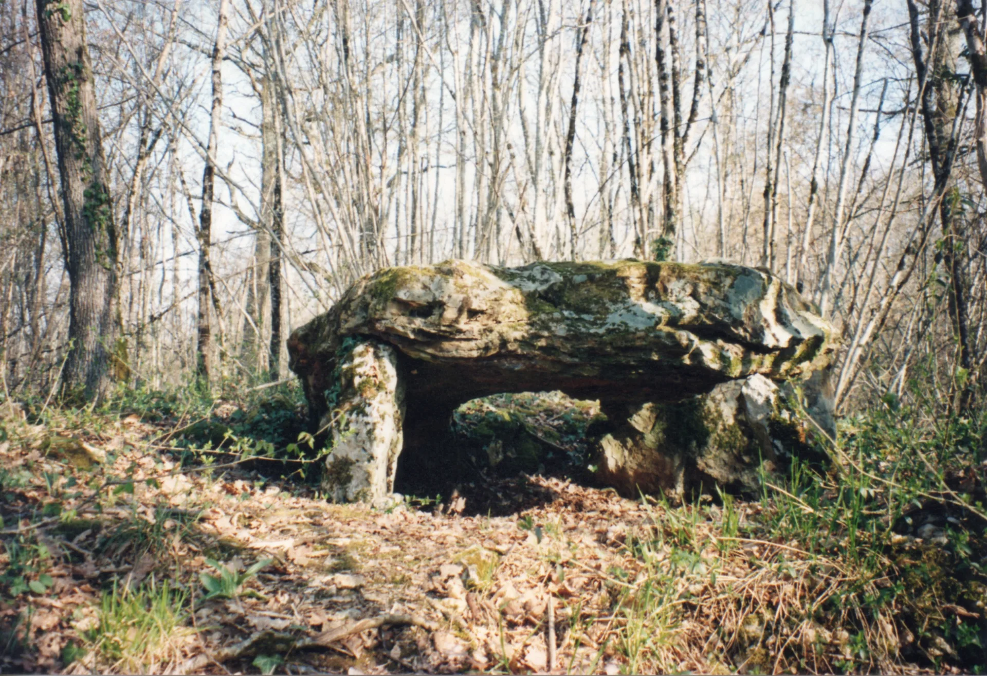 Domaine de la Chaise à Mosnay — À 2,8 km du lac