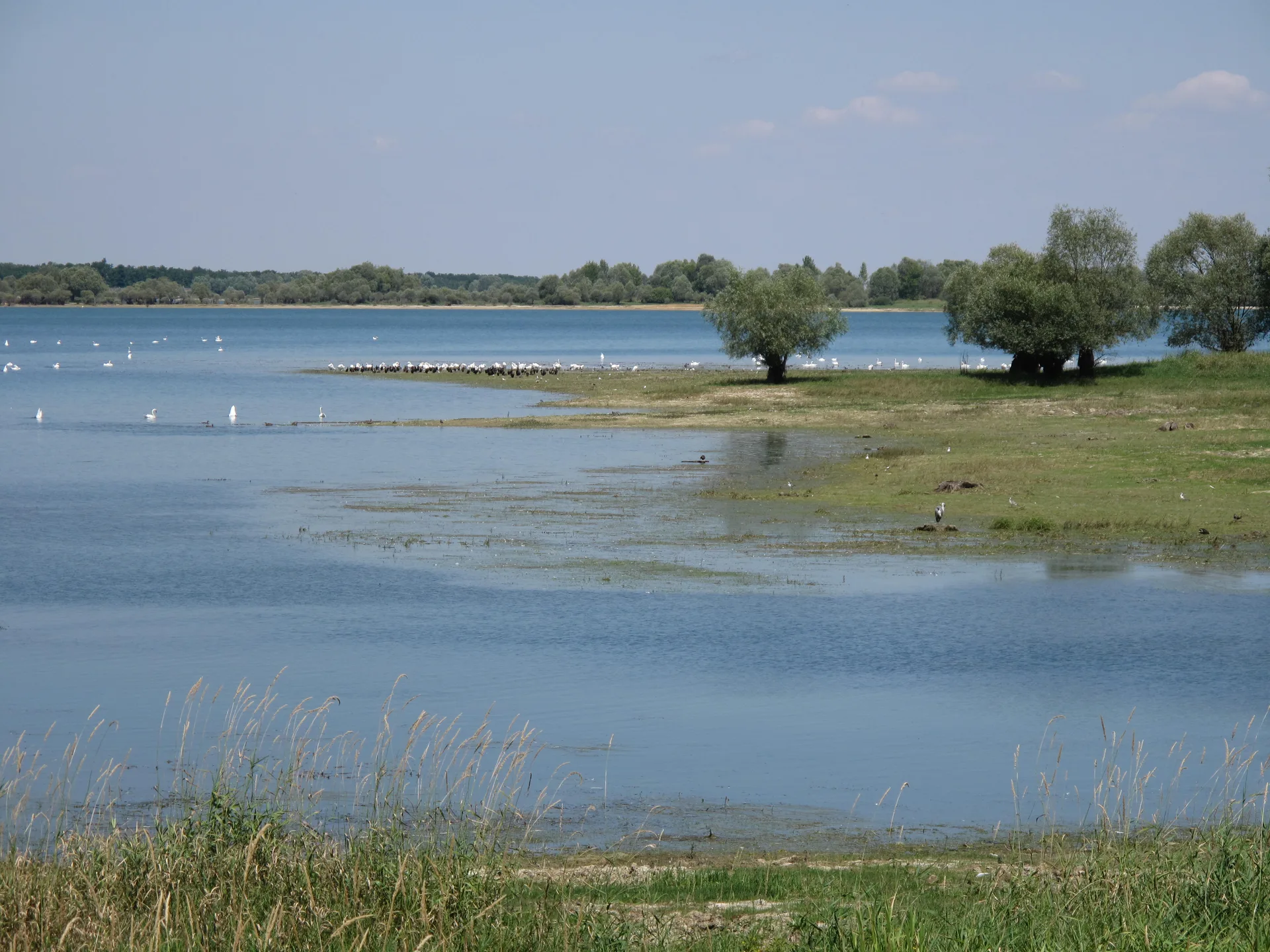 Domaine de Maurepaire à Piney — À 3,0 km du lac