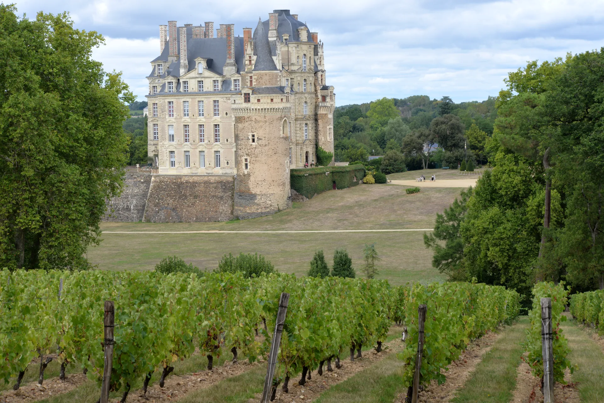 Etang aux Moines à Brissac Loire Aubance — À 4,8 km du lac