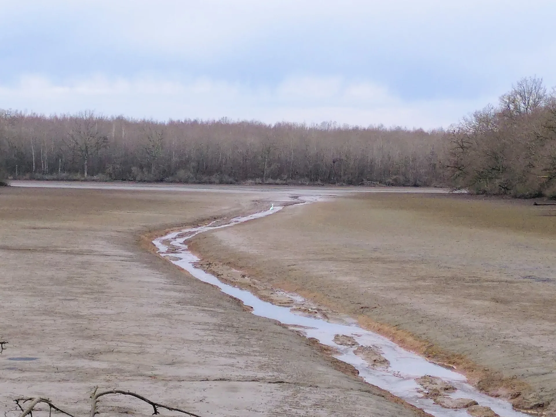 Etang Bailly à Pierre-de-Bresse — À 1,6 km du lac