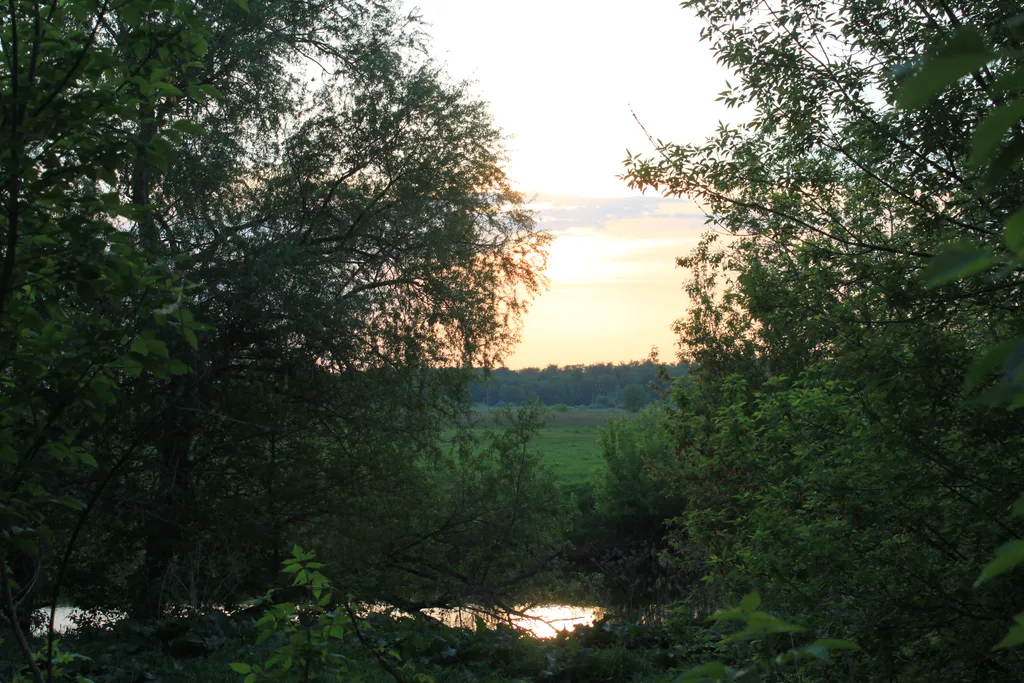 Etang Bossee, Bossée