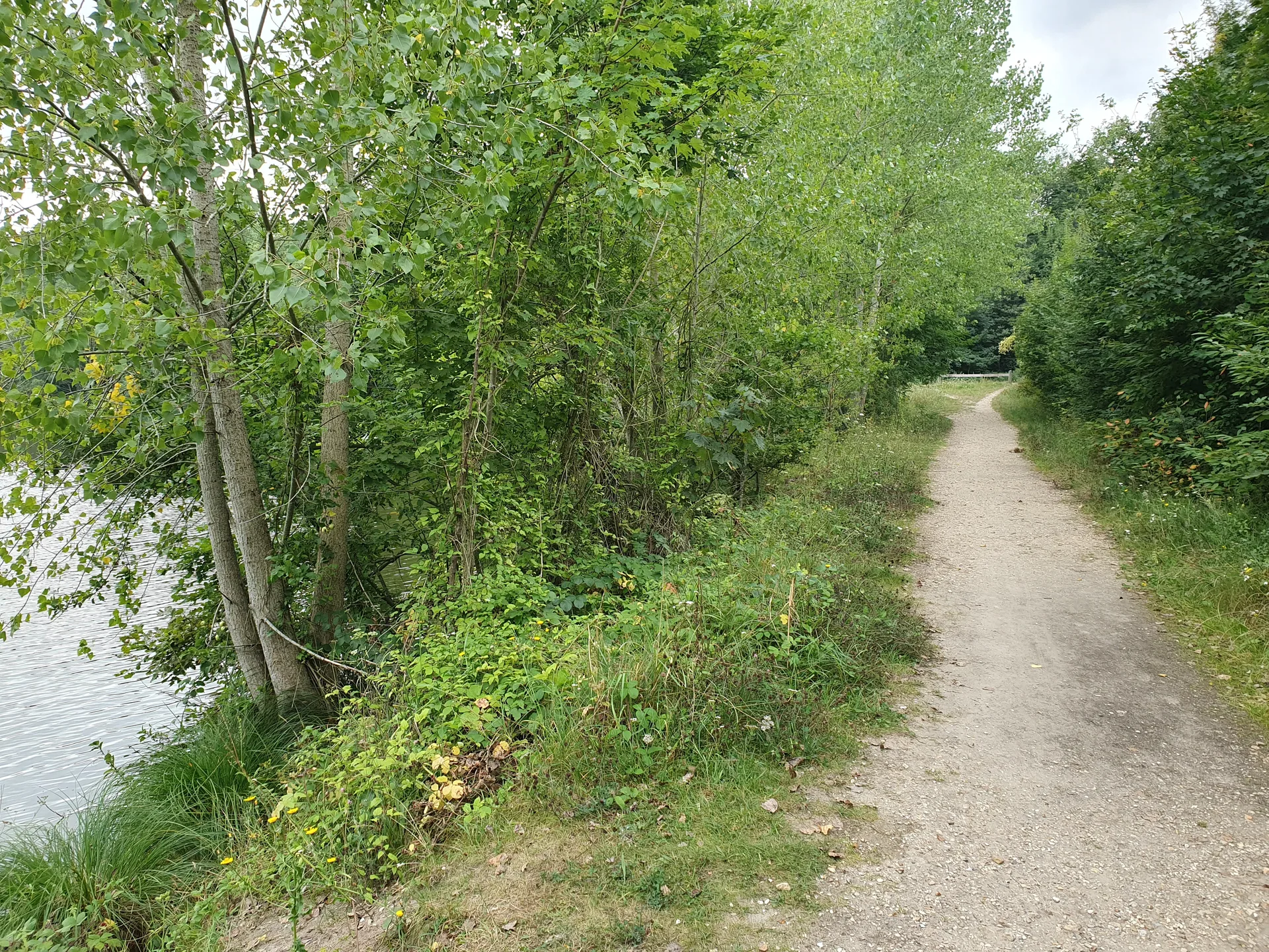 Etang Braque à Guyancourt — À 396 m du lac