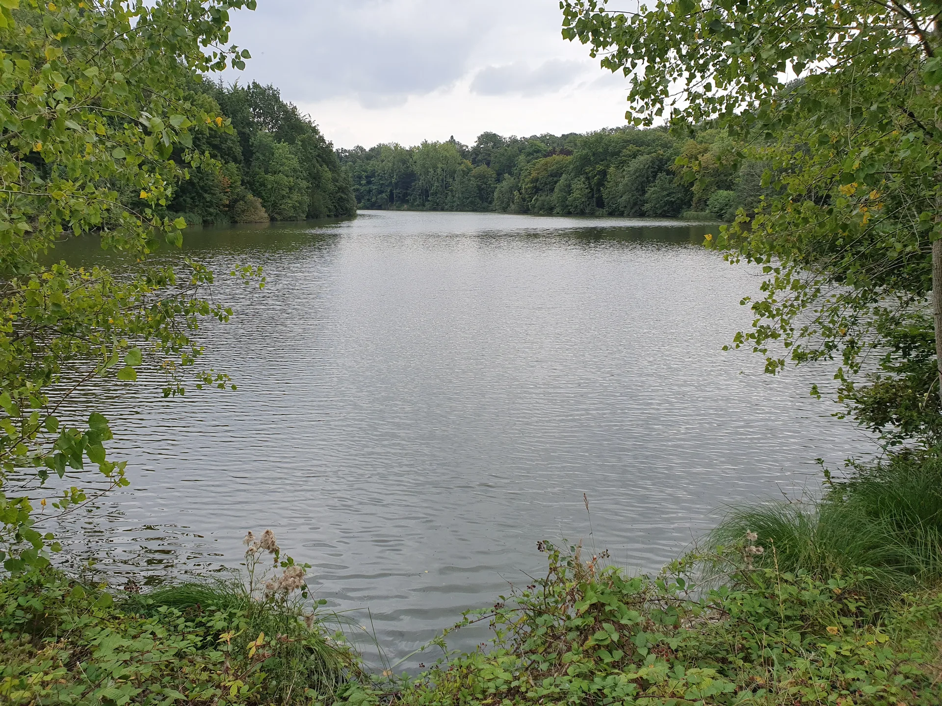Etang Braque à Guyancourt — À 1,1 km du lac