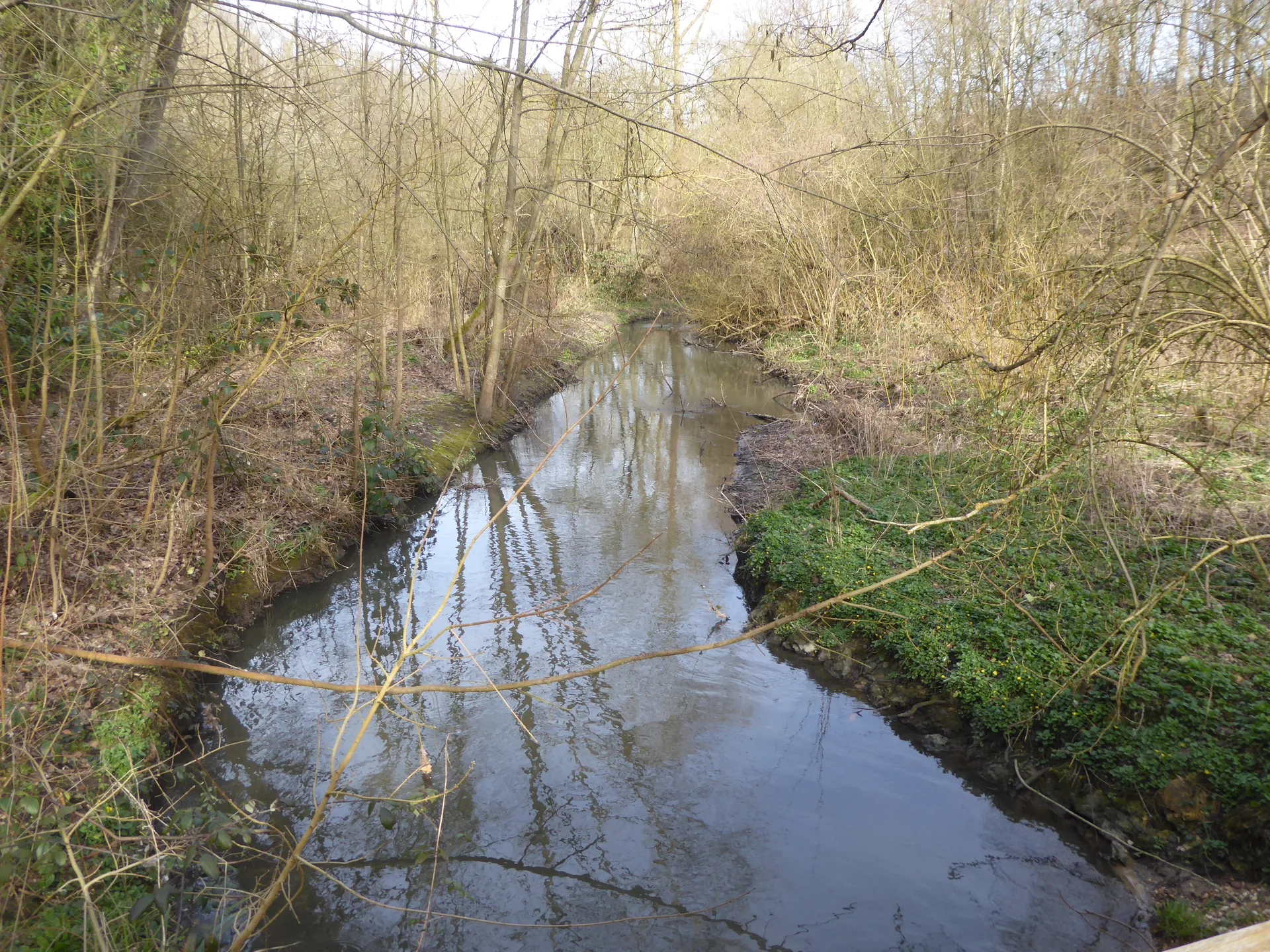 Etang Braque à Guyancourt — À 1,2 km du lac