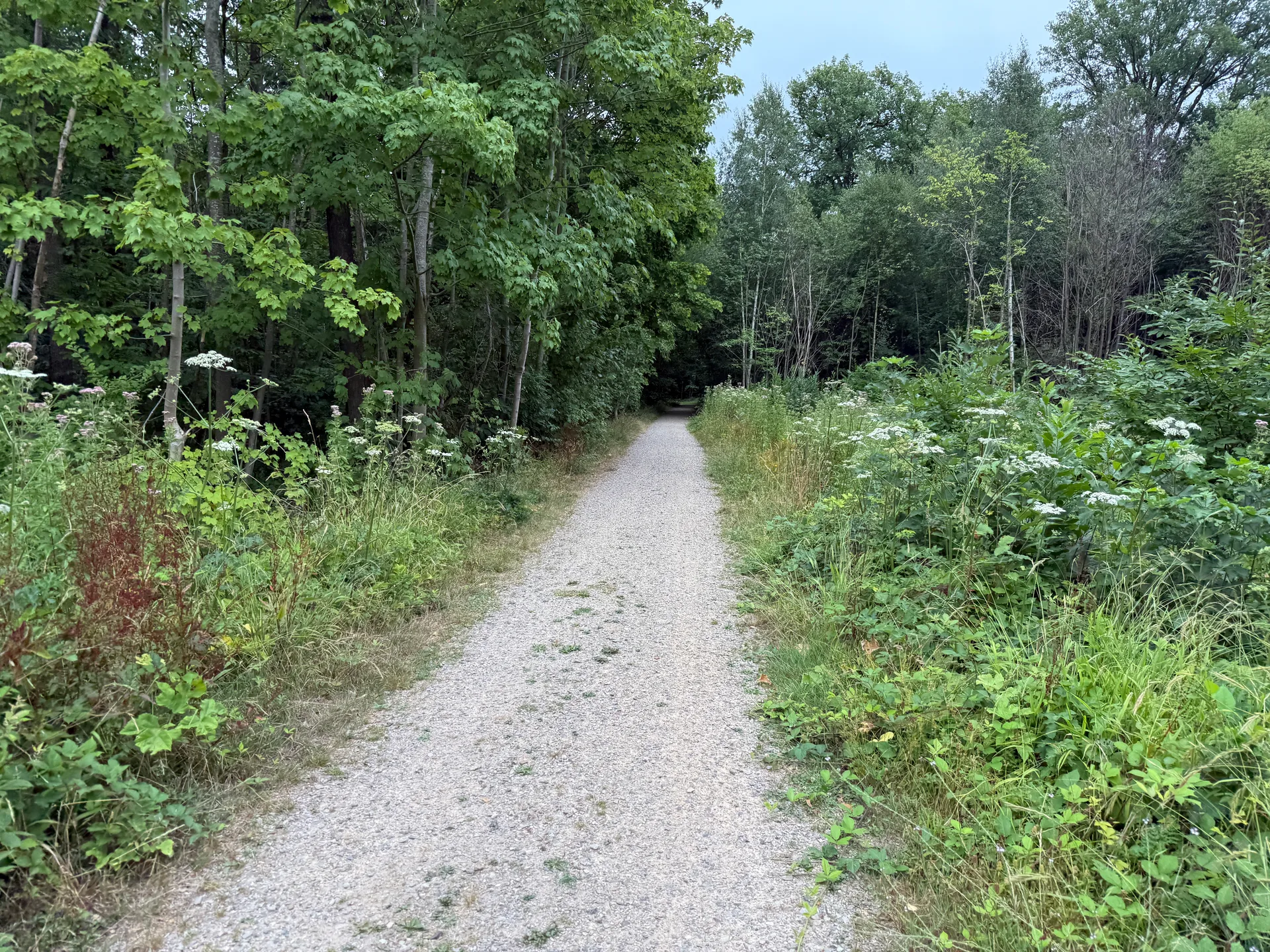 Etang Braque à Guyancourt — À 1,3 km du lac