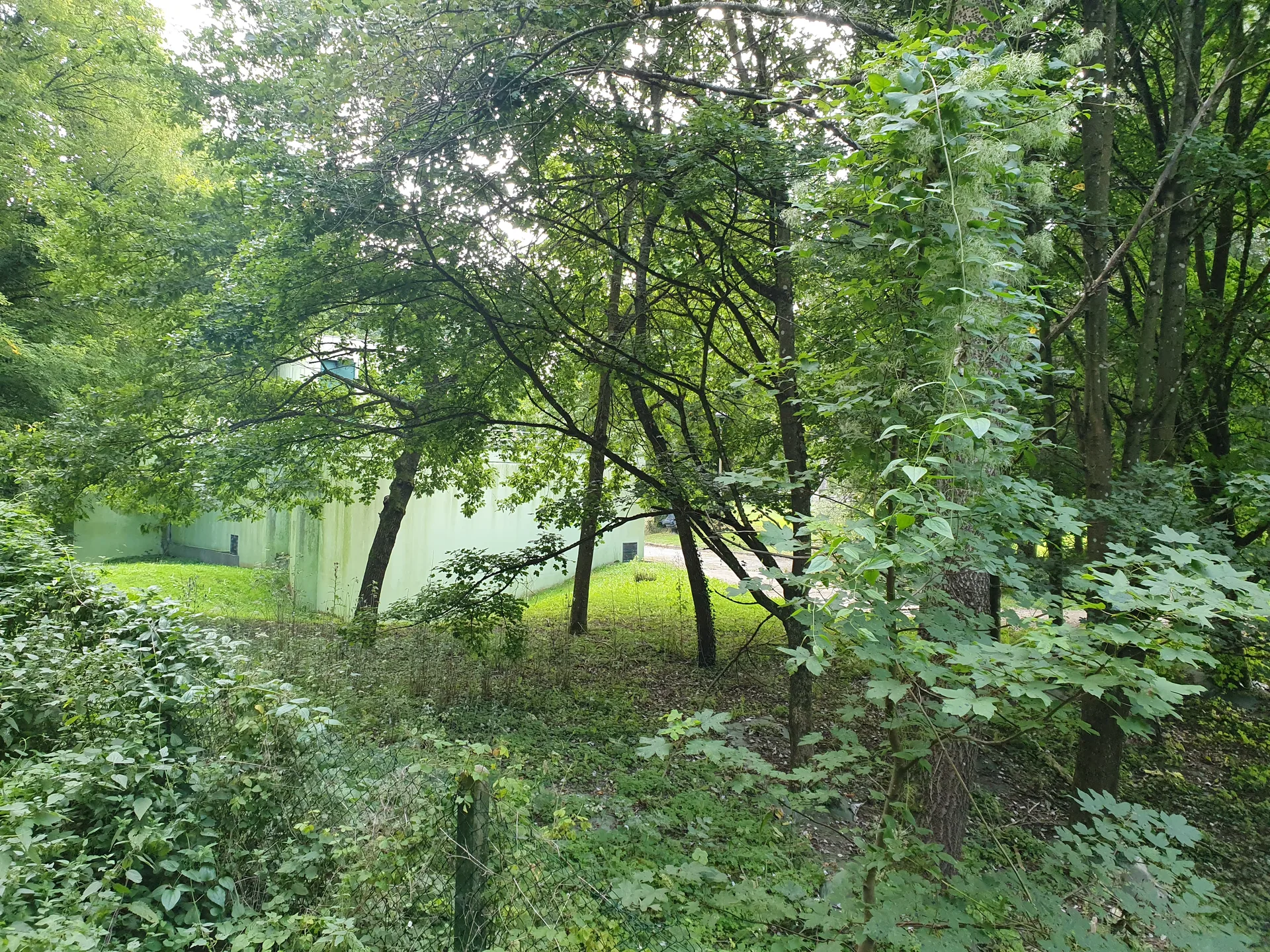 Etang Braque à Guyancourt — À 1,1 km du lac