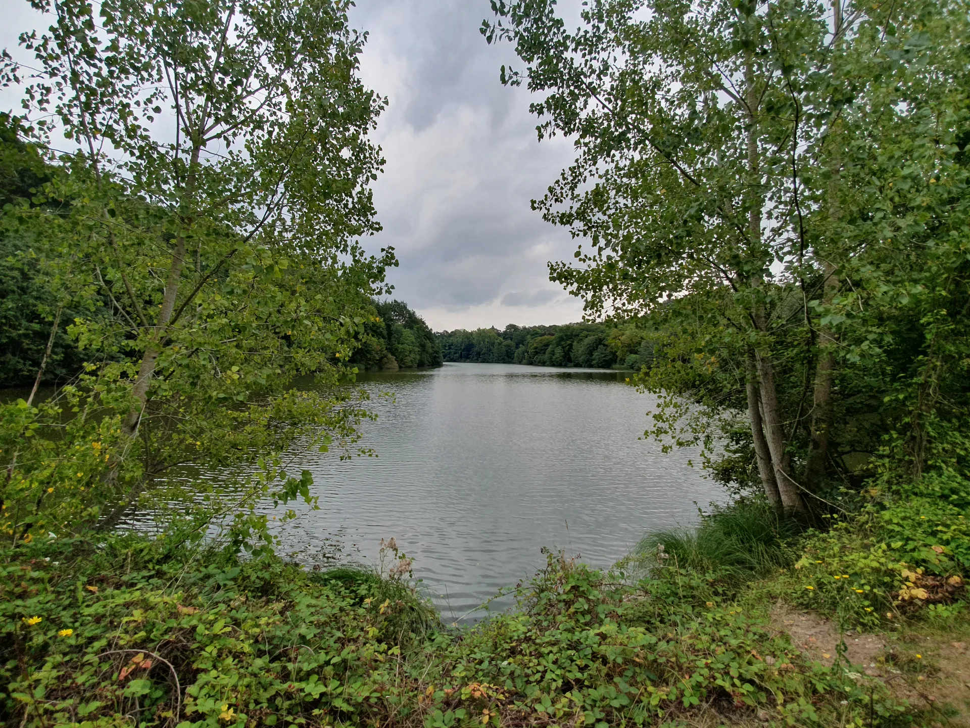 Etang Braque à Guyancourt — À 1,1 km du lac