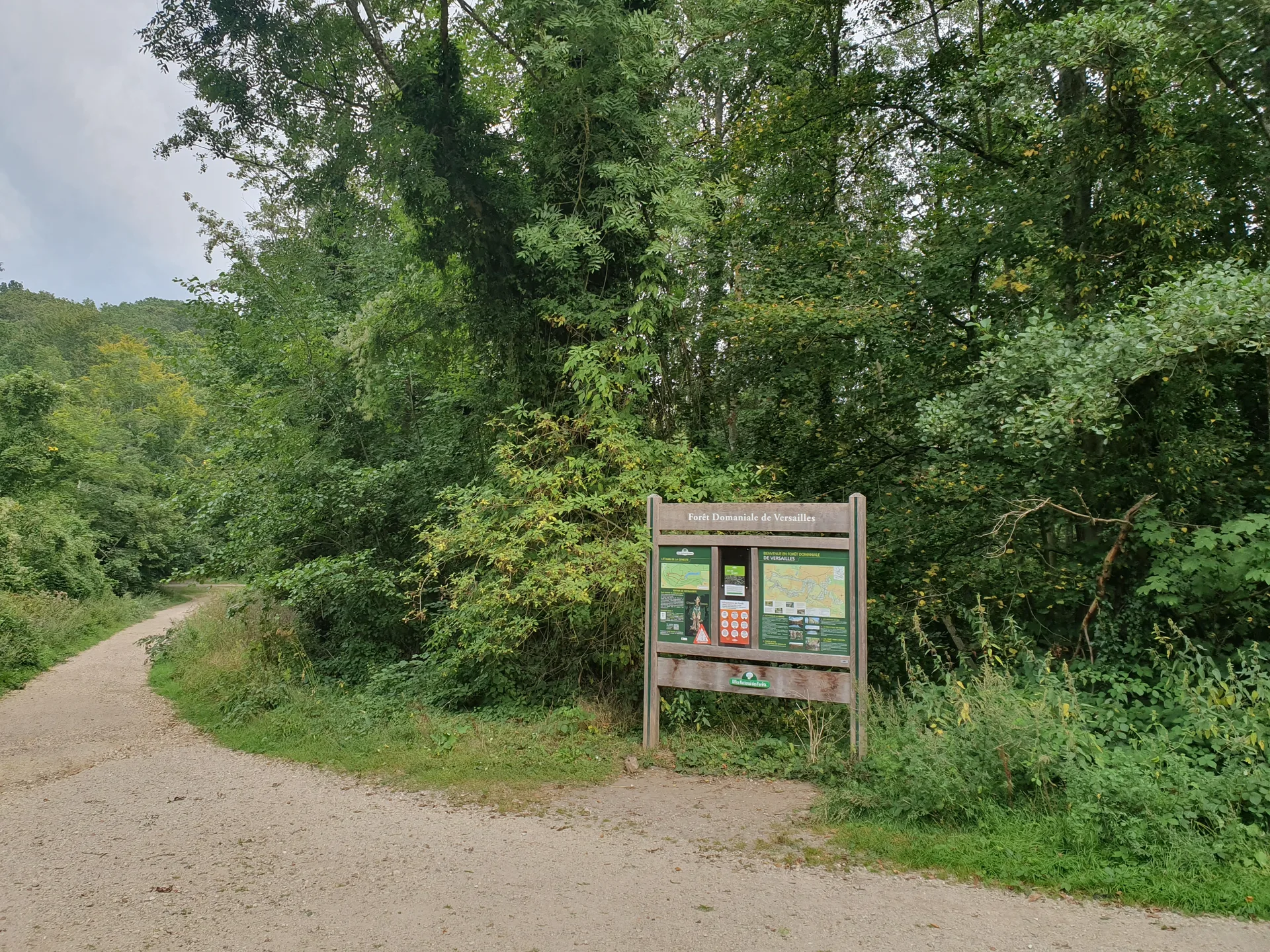 Etang Braque à Guyancourt — À 1,1 km du lac
