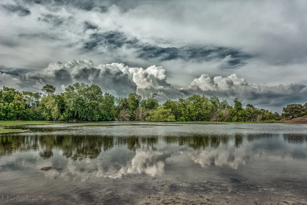 Etang Colbert, Le Cannet-des-Maures