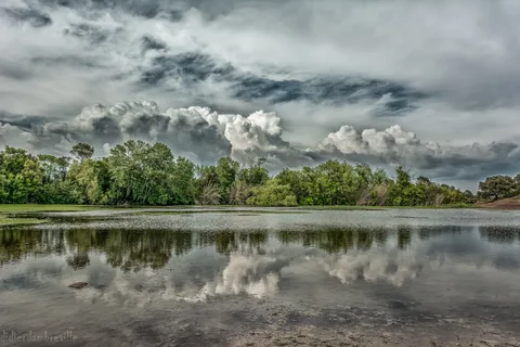 Etang Colbert