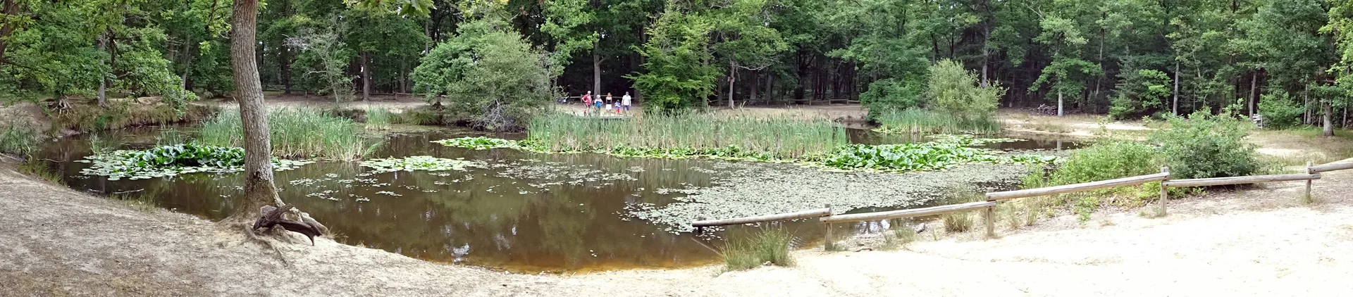 Etang communal  d'Arnieres sur Iton à Arnières-sur-Iton — À 2,2 km du lac