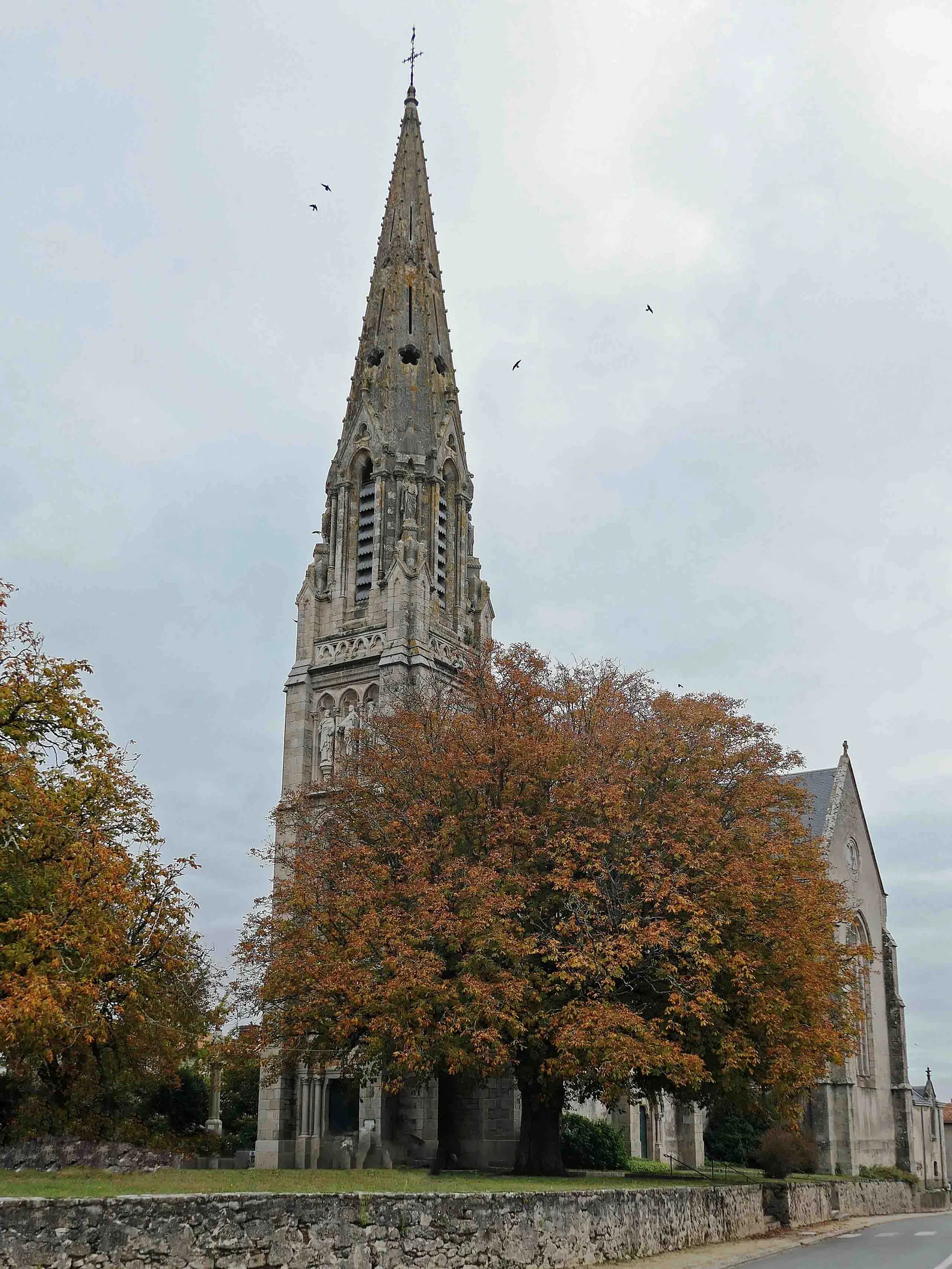 Étang communal de Aizenay à Aizenay — À 4,7 km du lac