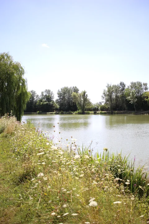 Etang Communal de Chançay