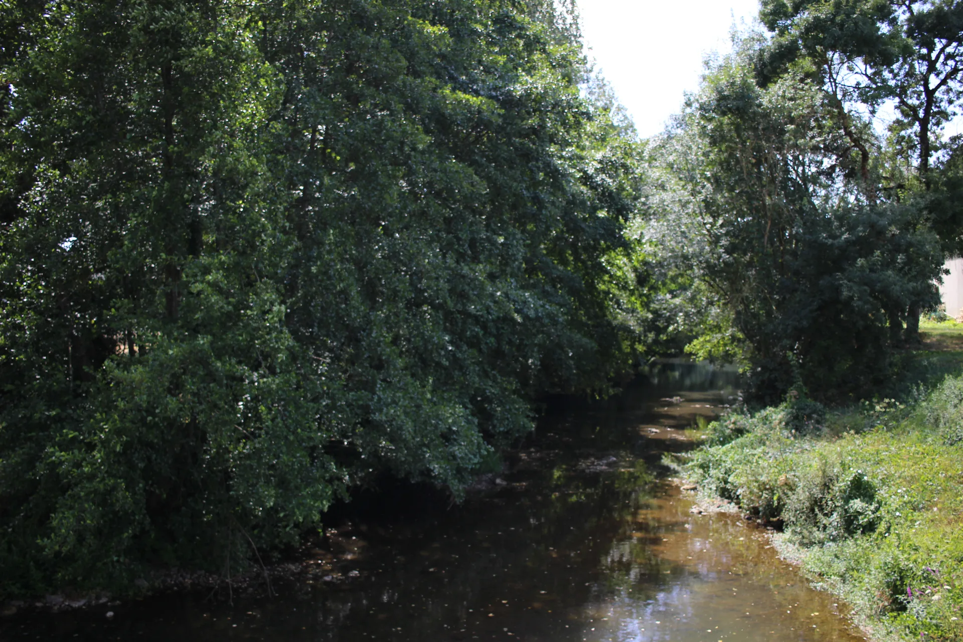 Etang Communal de Chançay à Chançay — À 414 m du lac