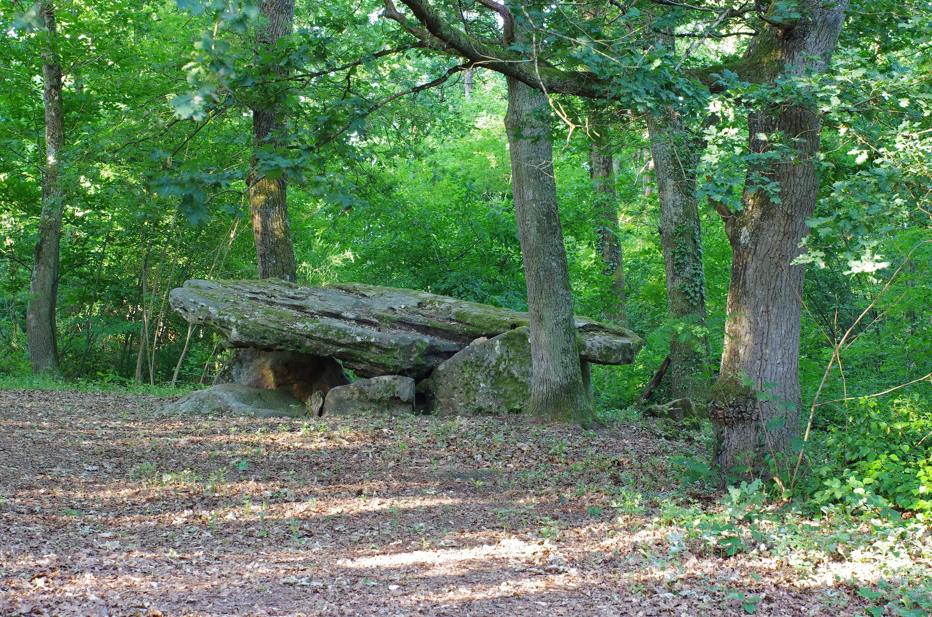 Etang Communal de Dun à Dun-le-Poëlier — À 3,8 km du lac