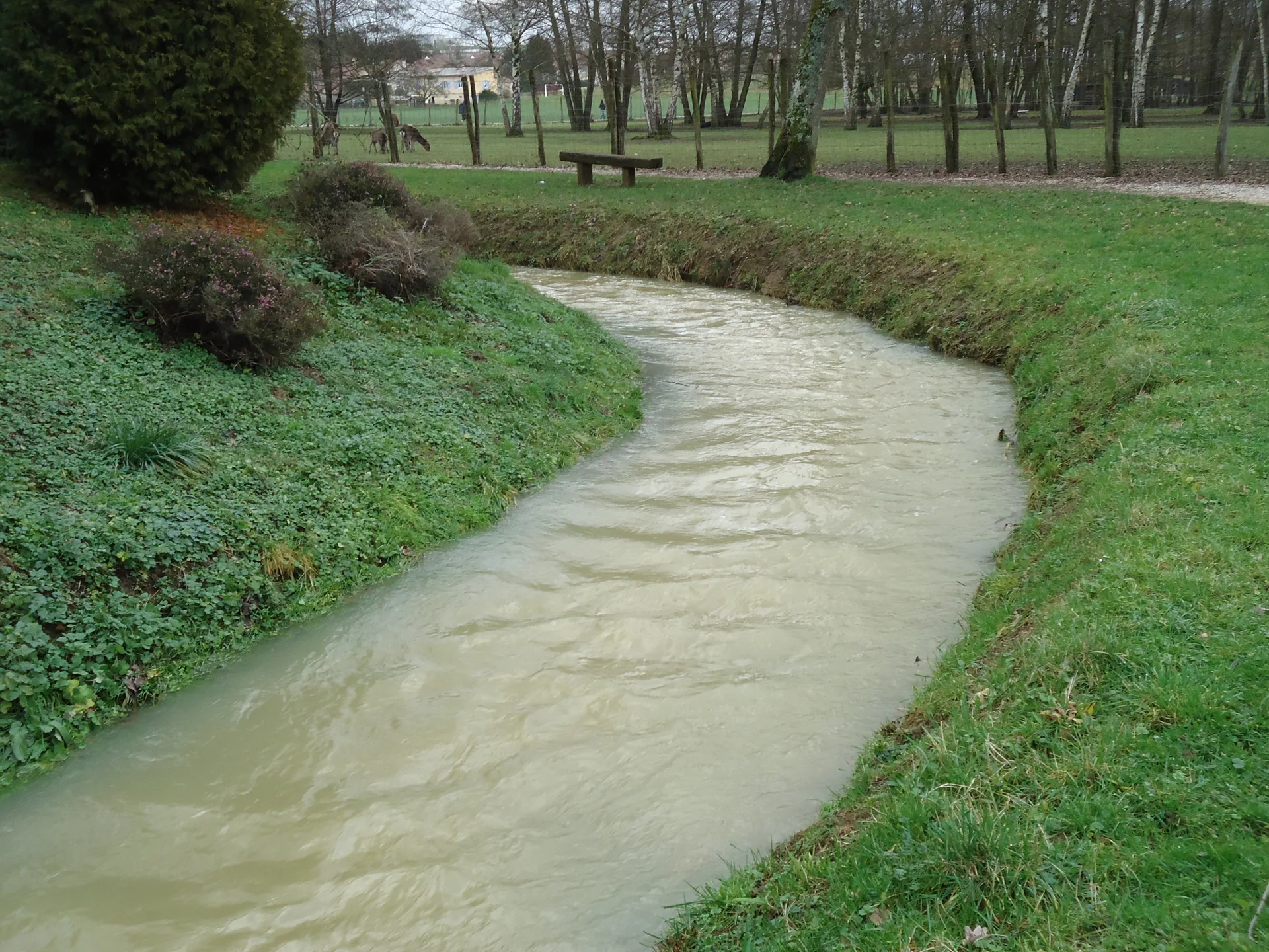 Etang communal de Foucheran à Foucherans — À 247 m du lac