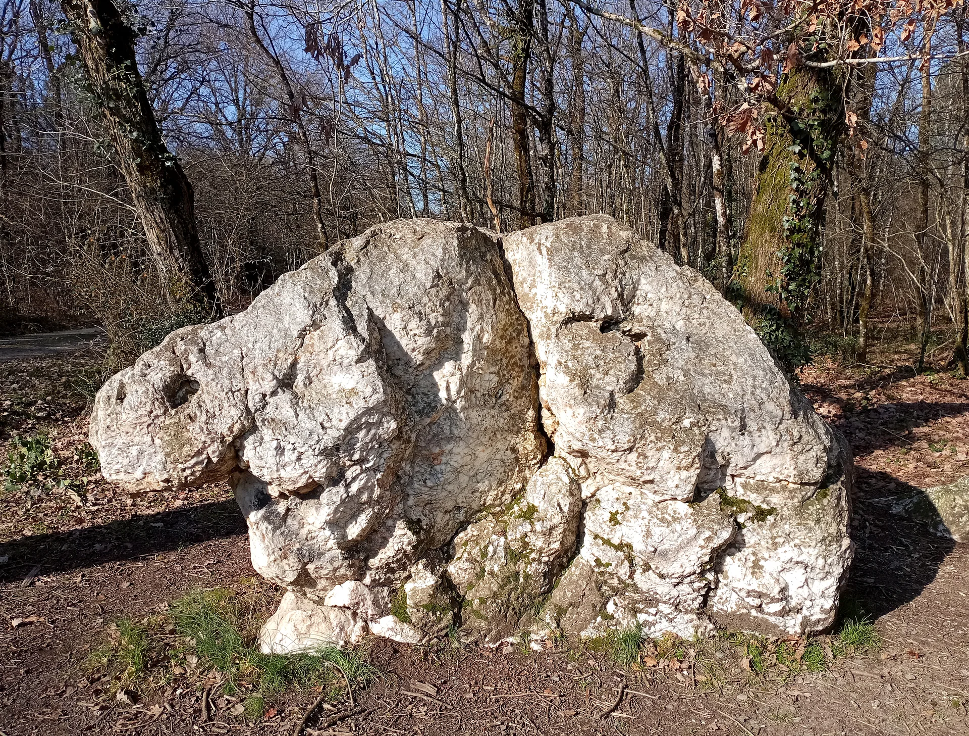 Etang Communal de La Mare Martin à La Copechagnière — À 3,1 km du lac