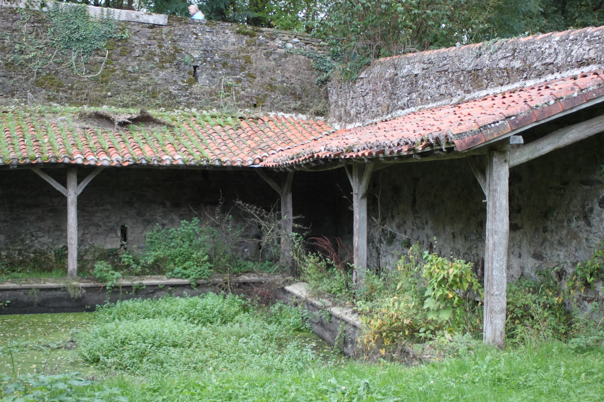 Etang Communal de La Rabatelliere à La Rabatelière — À 3,6 km du lac