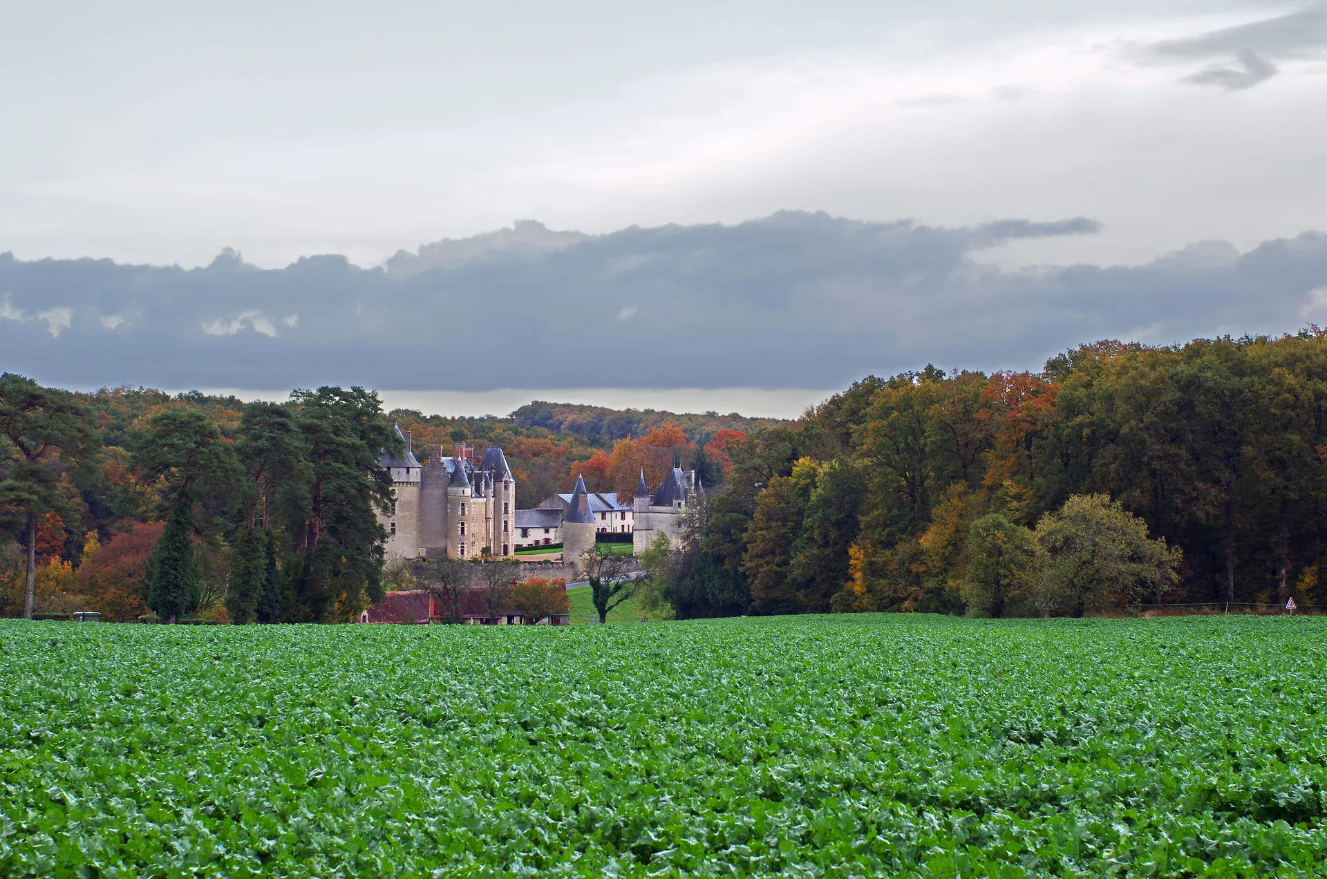 Etang communal de Le Liege à Le Liège — À 3,2 km du lac