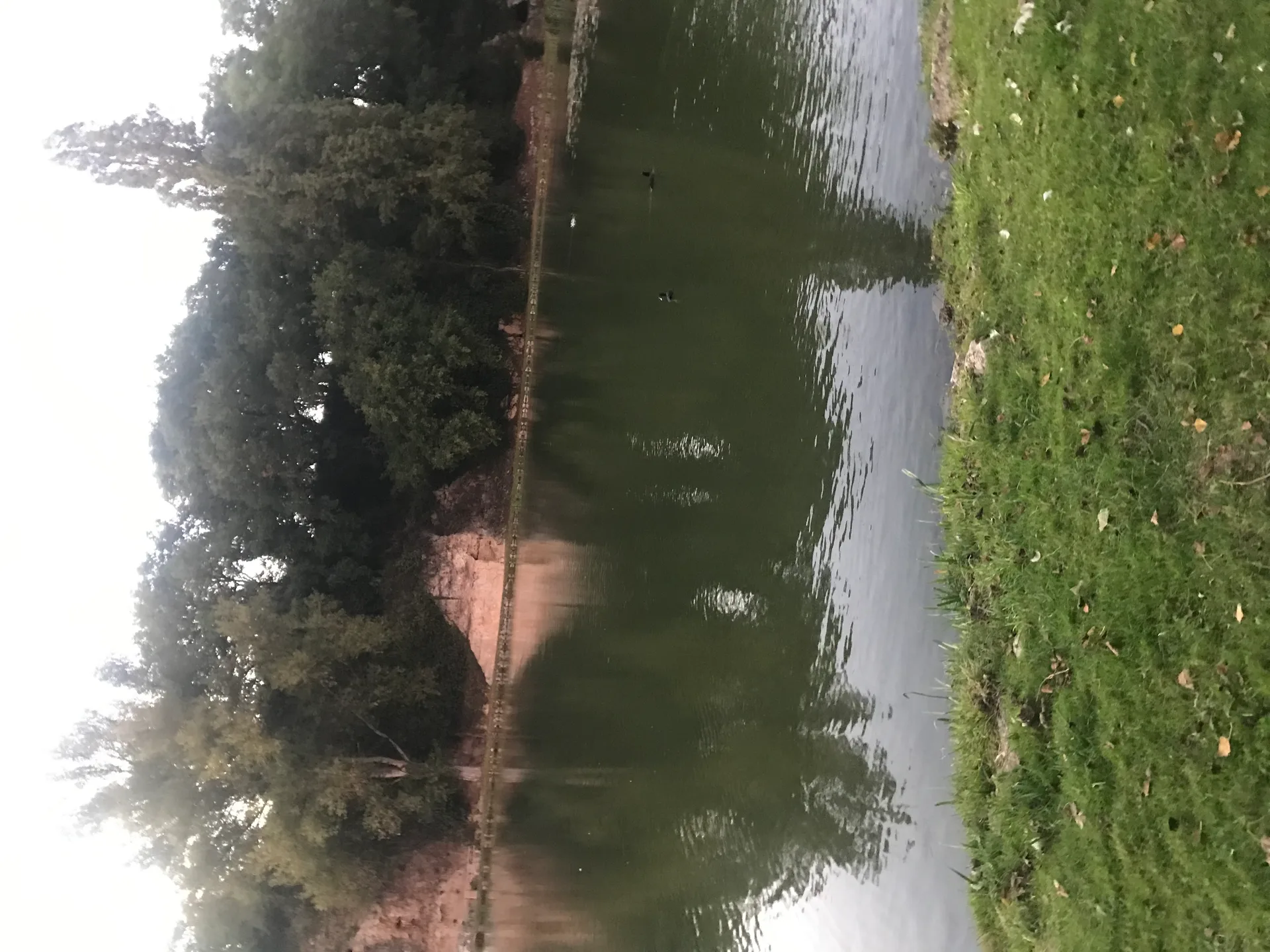 Etang communal de lussac les Chateaux à Lussac-les-Châteaux — Sur le lac