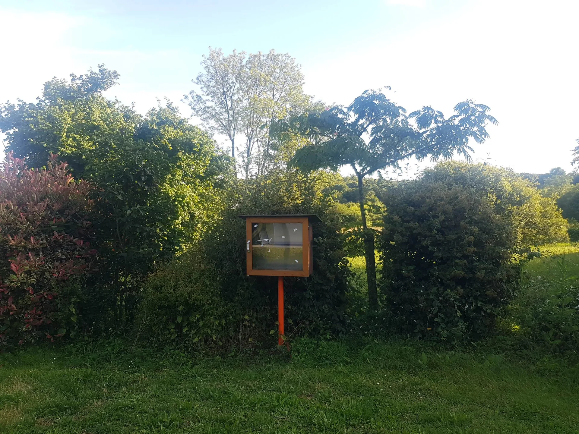 Etang communal de Montreuil Bonnin à Boivre-la-Vallée — À 715 m du lac