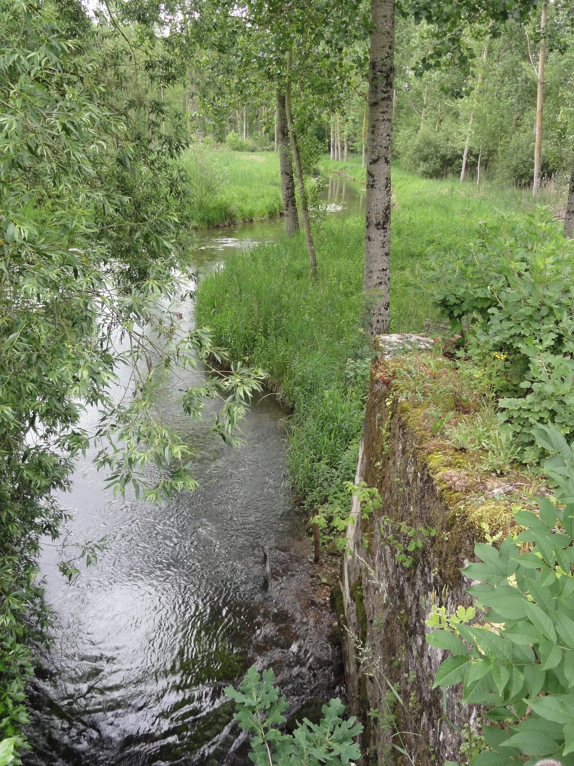 Etang communal de Montreuil Bonnin à Boivre-la-Vallée — À 3,1 km du lac