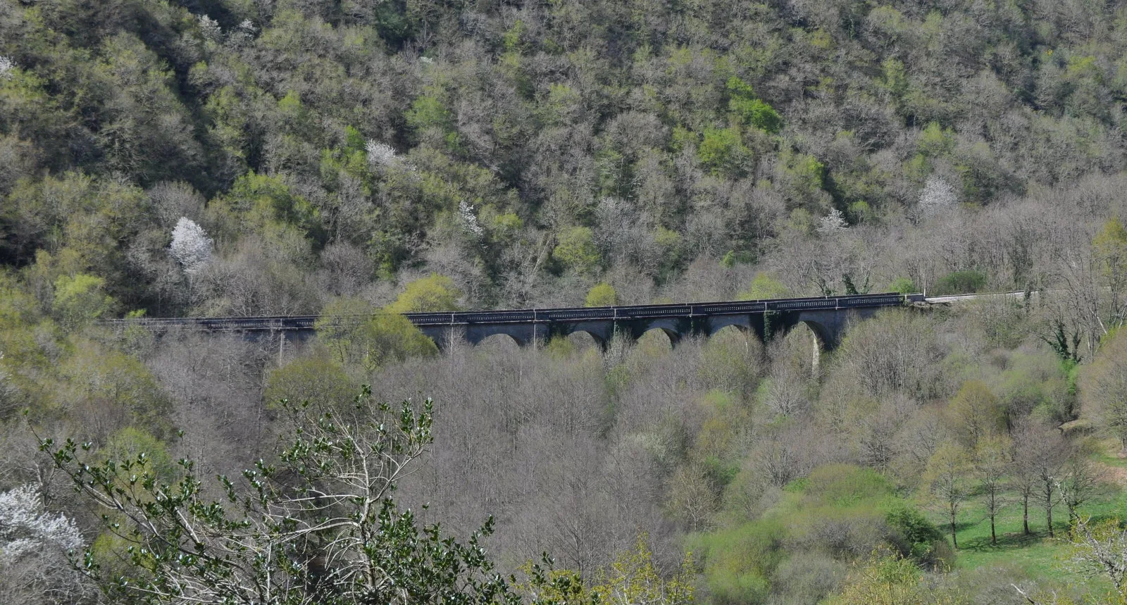 Etang communal de Riffataire à Neuvic-Entier — À 3,7 km du lac