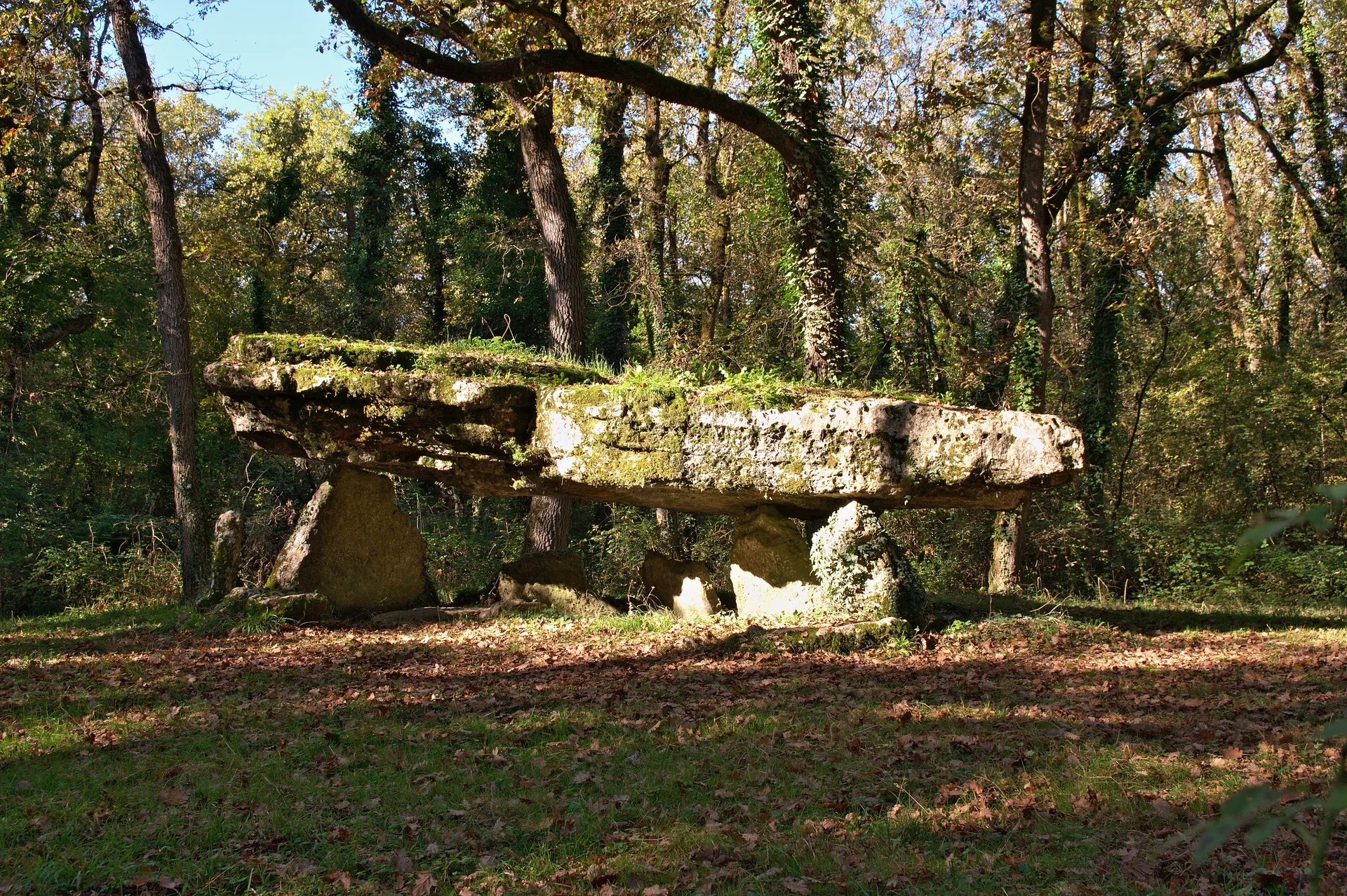 Etang communal de Saint Macou à Val-de-Comporté — À 2,9 km du lac