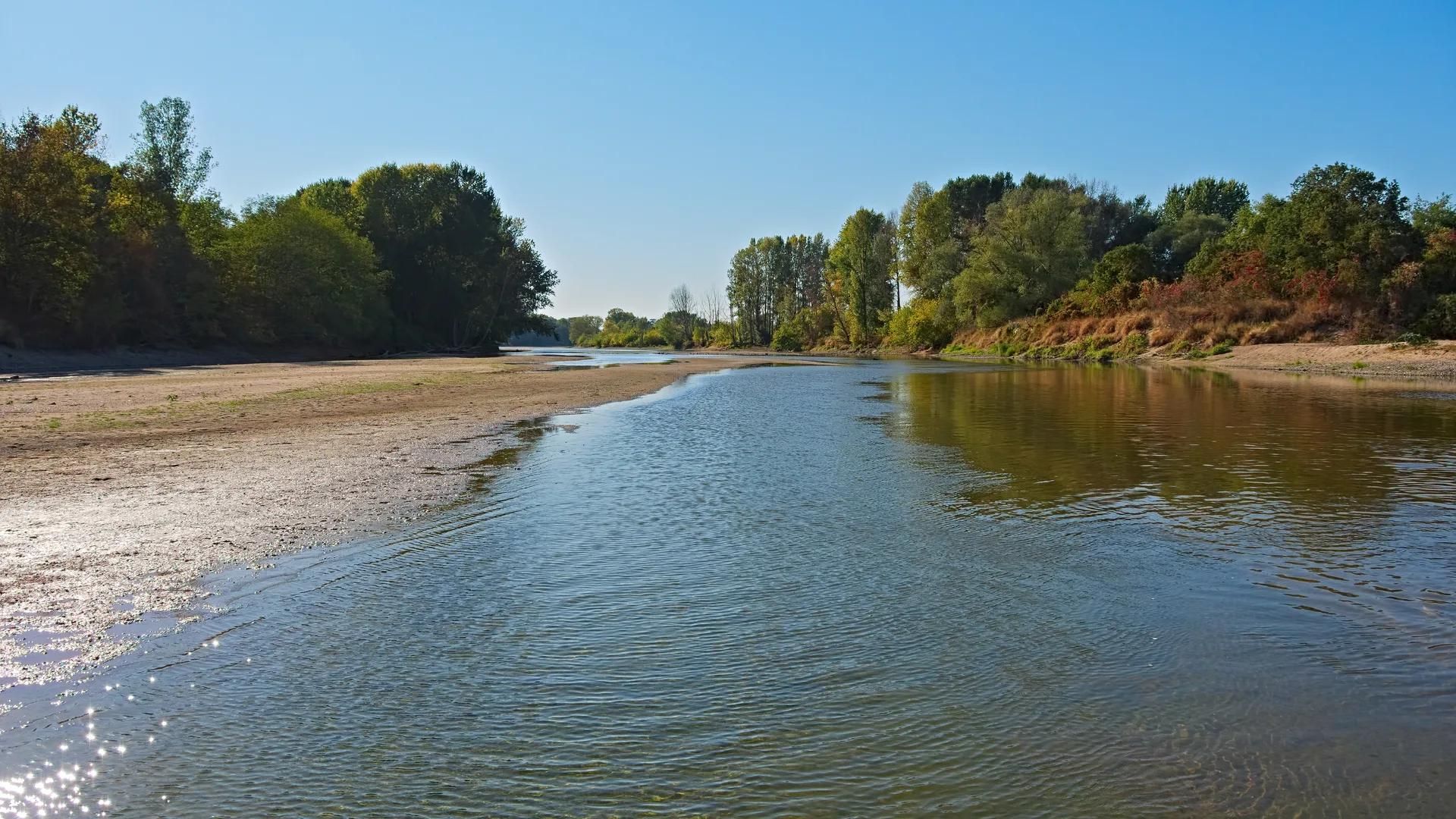 Etang Communal de St Denis à Saint-Denis-en-Val — À 500 m du lac