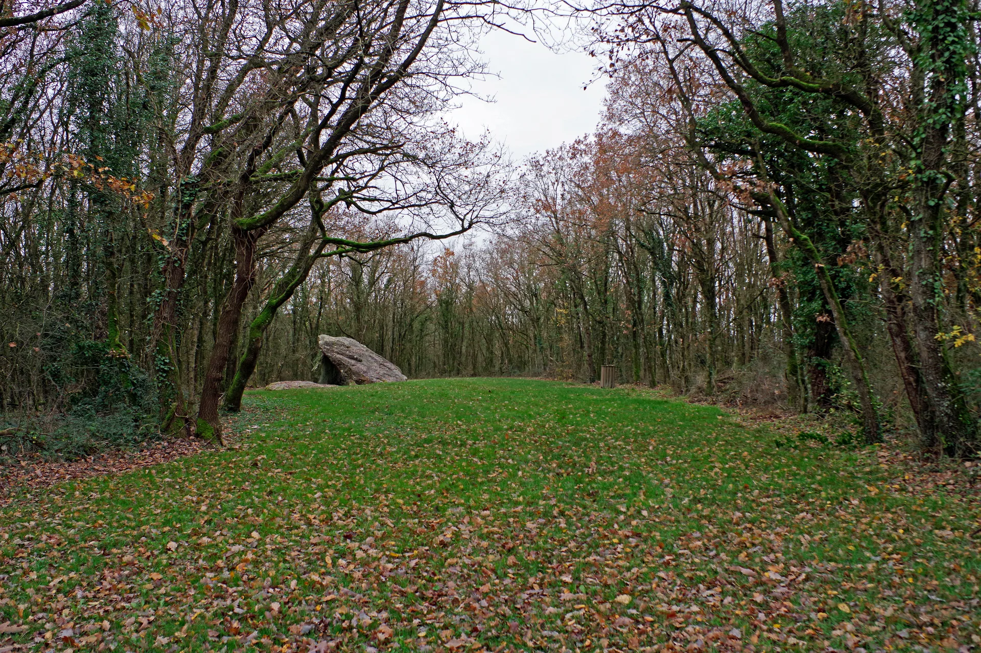 Etang Communal de St Flovier à Saint-Flovier — À 4,6 km du lac