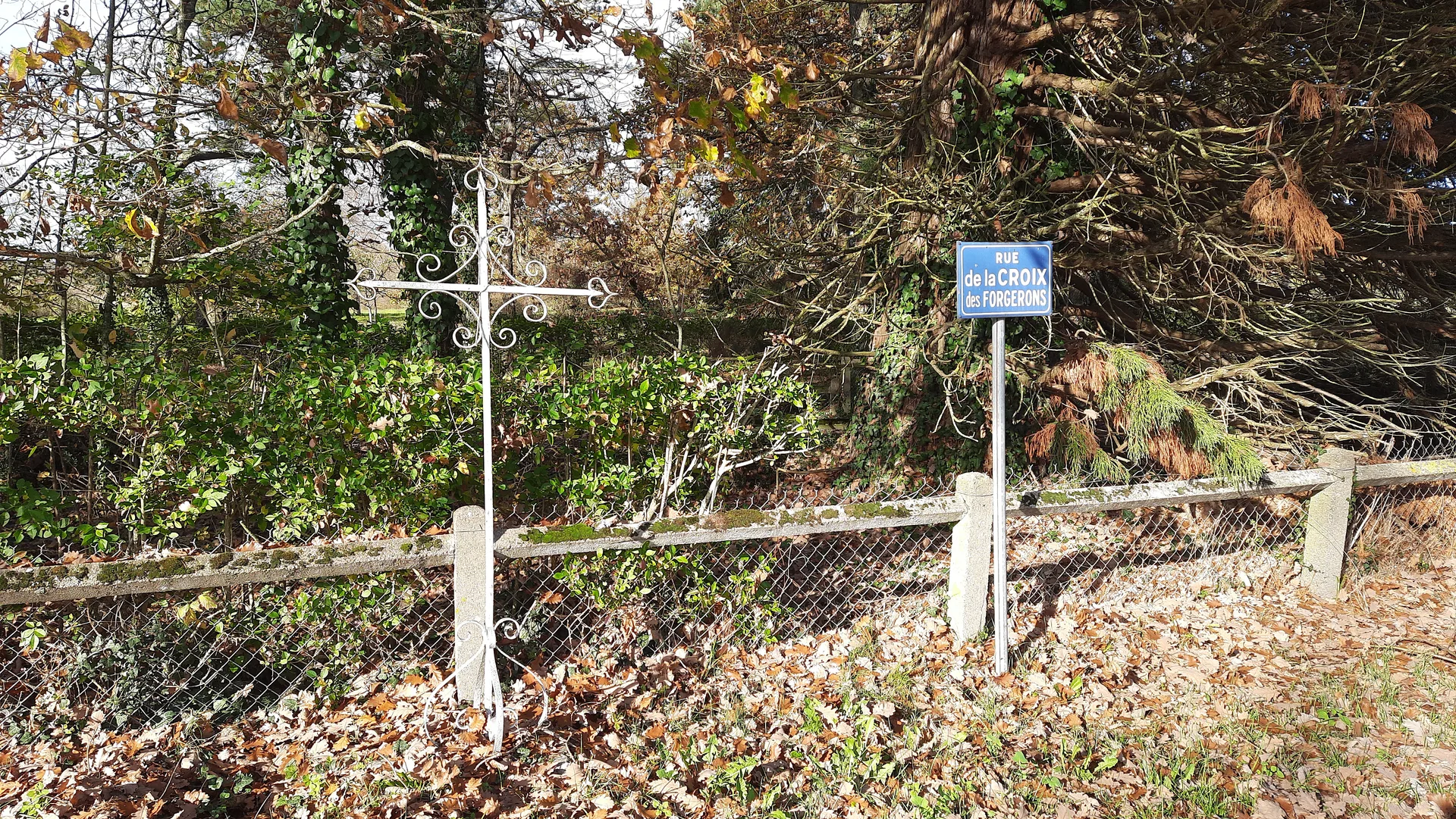 Etang communal de Trainou à Traînou — À 3,5 km du lac