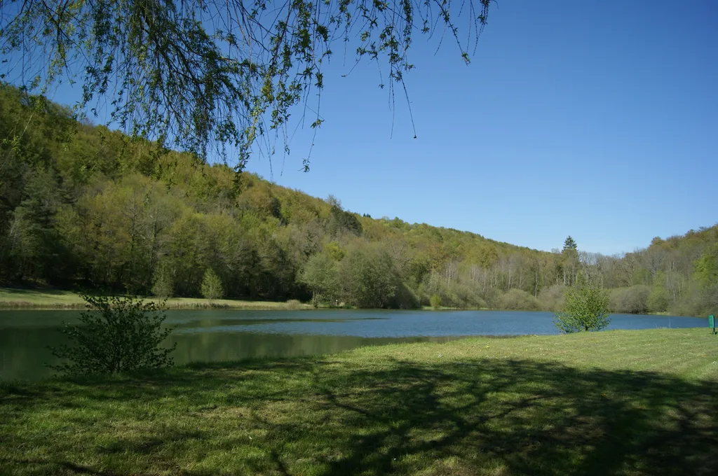 Etang communal de Vernois les Vesvres, Vernois-lès-Vesvres