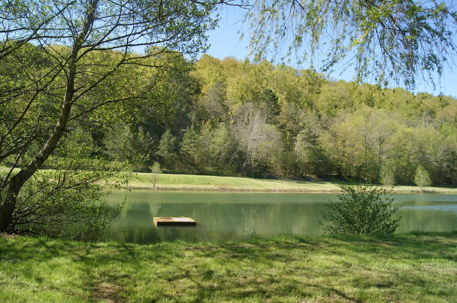 Etang communal de Vernois les Vesvres à Vernois-lès-Vesvres — Sur le lac