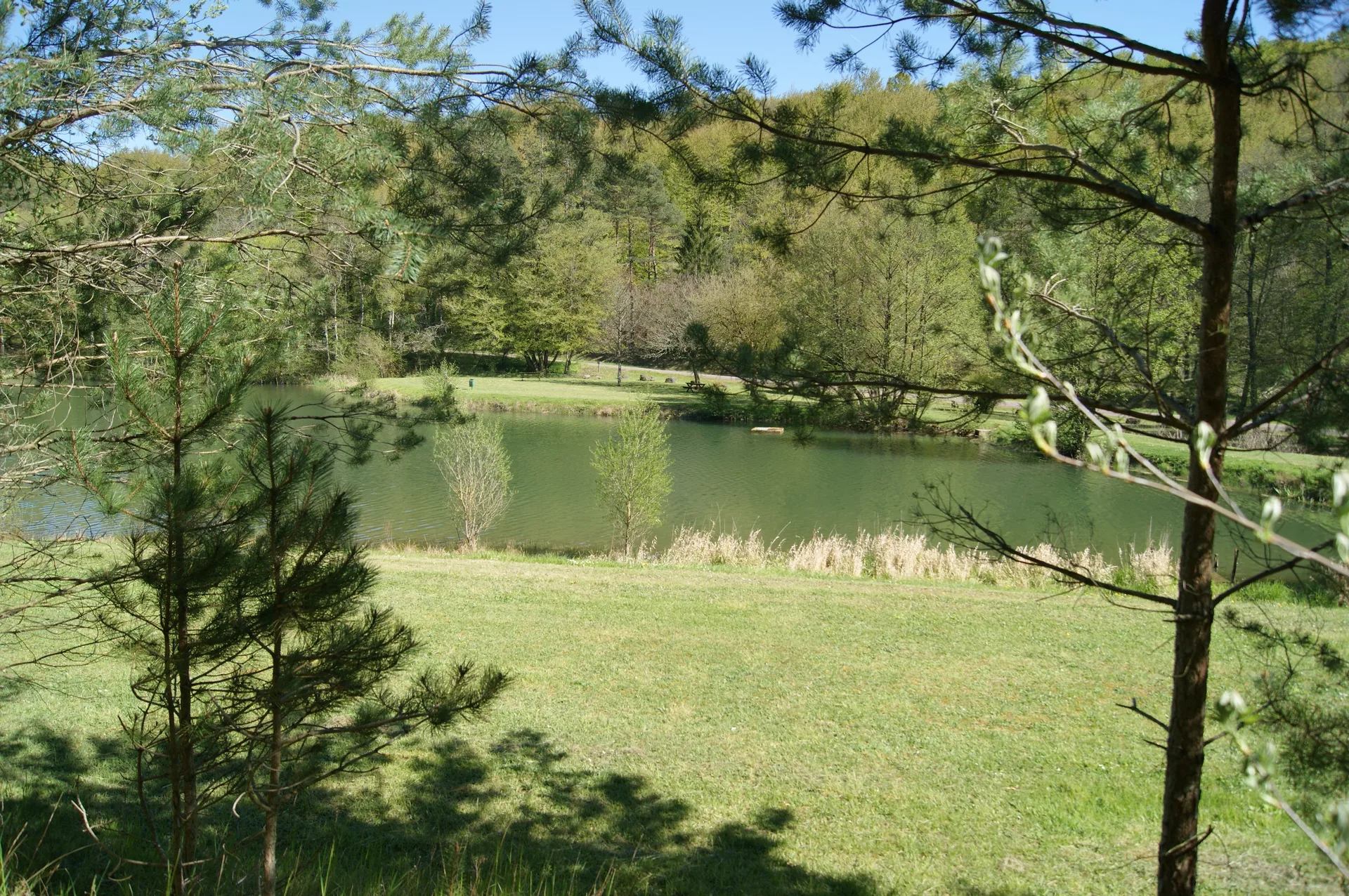 Etang communal de Vernois les Vesvres à Vernois-lès-Vesvres — Sur le lac