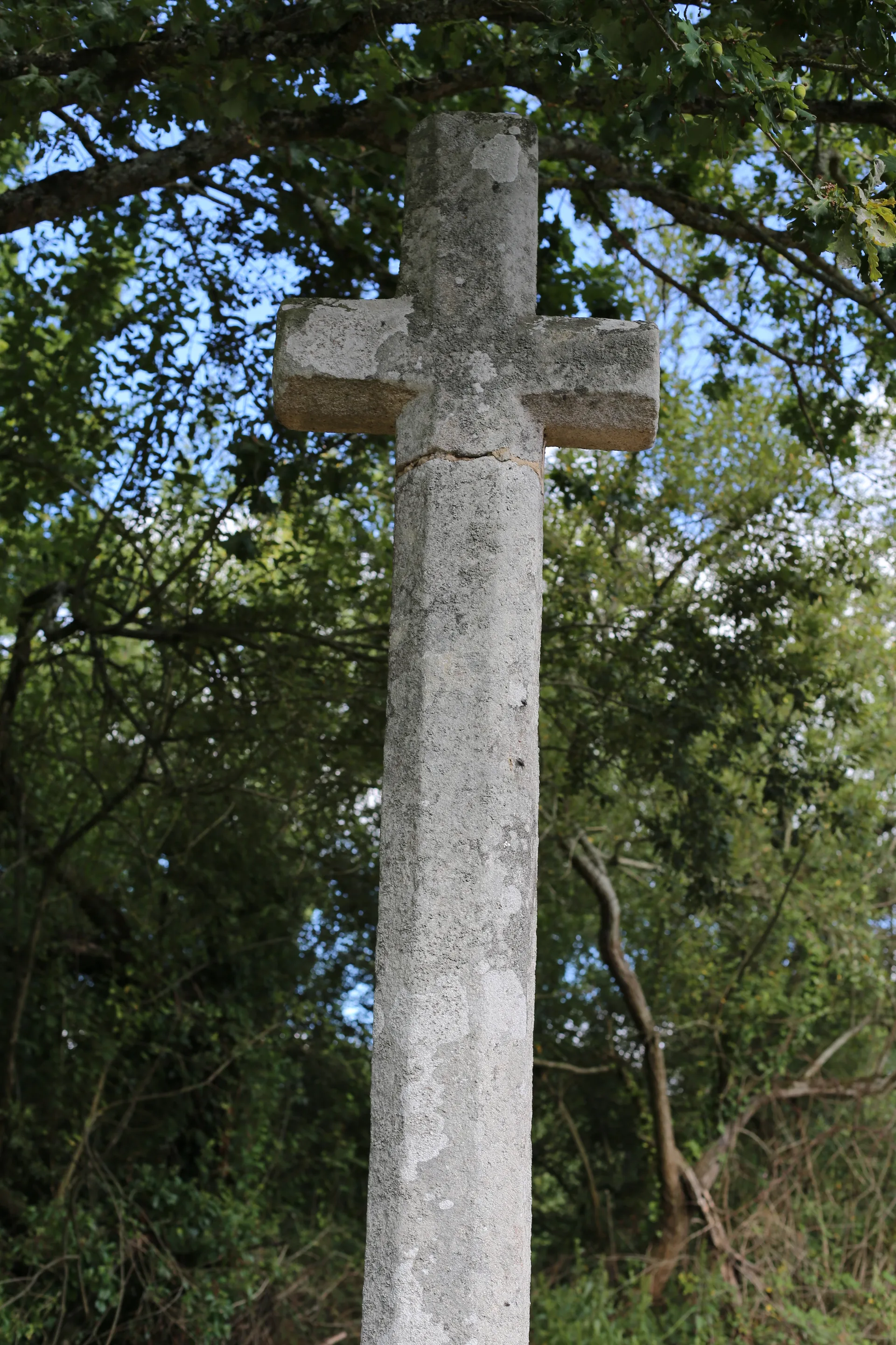Etang communal. Gilles DE BEL AIR à Noyal-Châtillon-sur-Seiche — Sur le lac