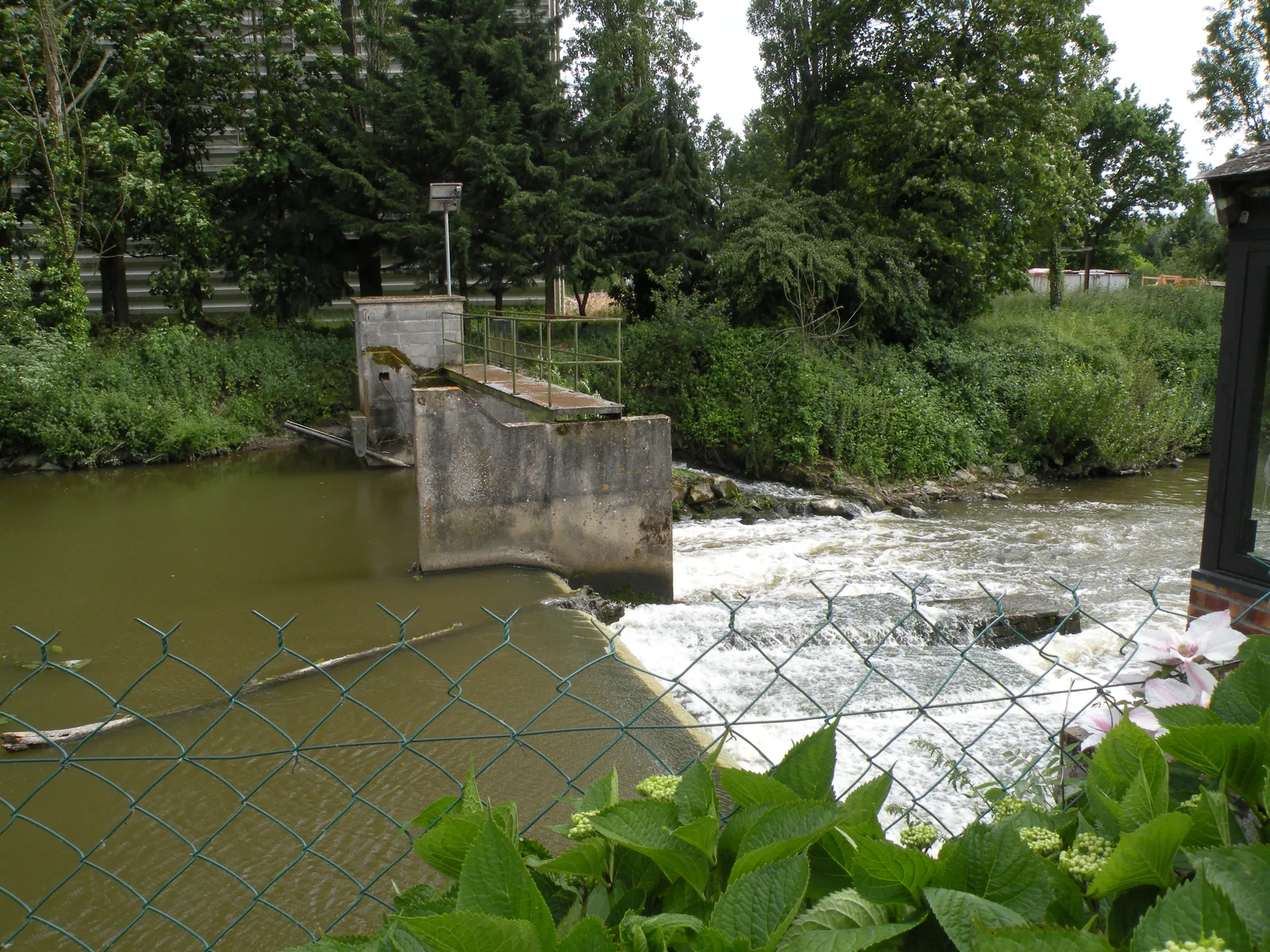 Etang communal. Gilles DE BEL AIR à Noyal-Châtillon-sur-Seiche — Sur le lac