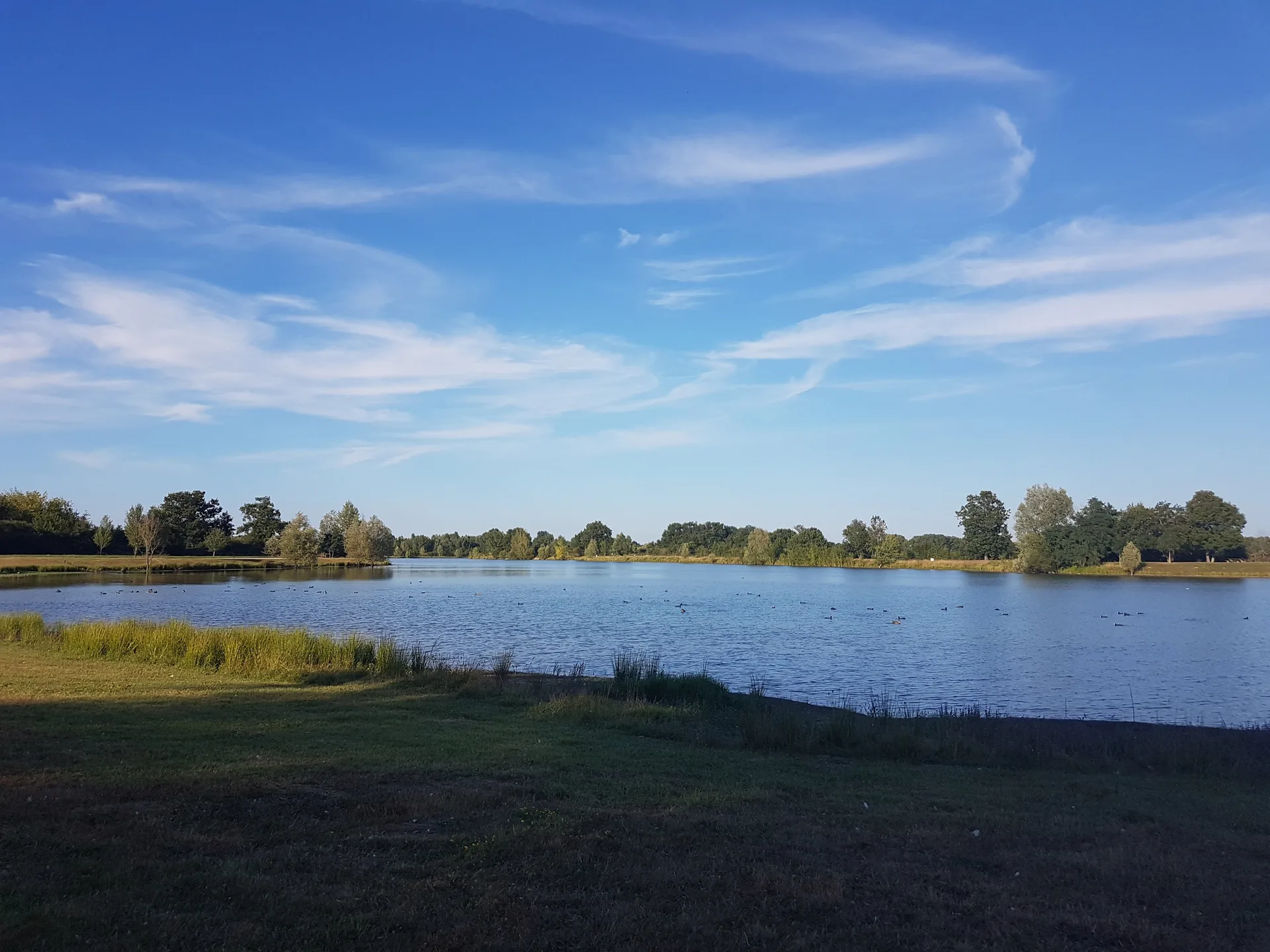 Etang d'Armeau à Génissac — À 1,7 km du lac